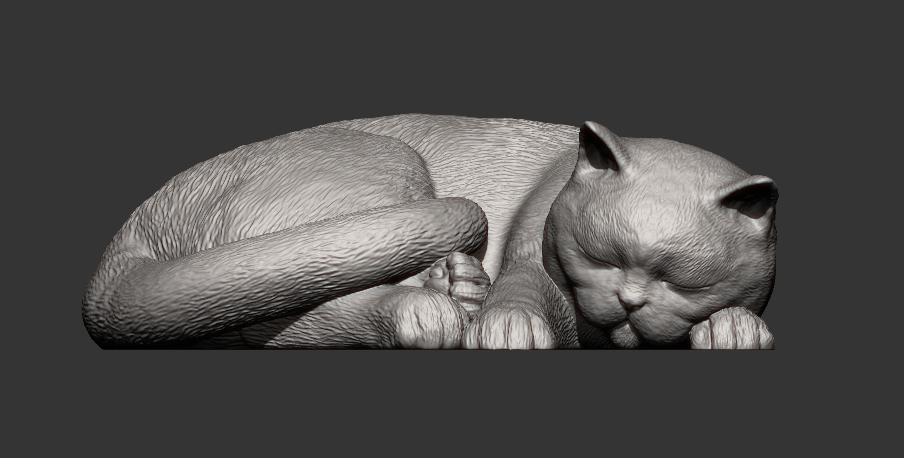 british shorthair cat 3D print model_7