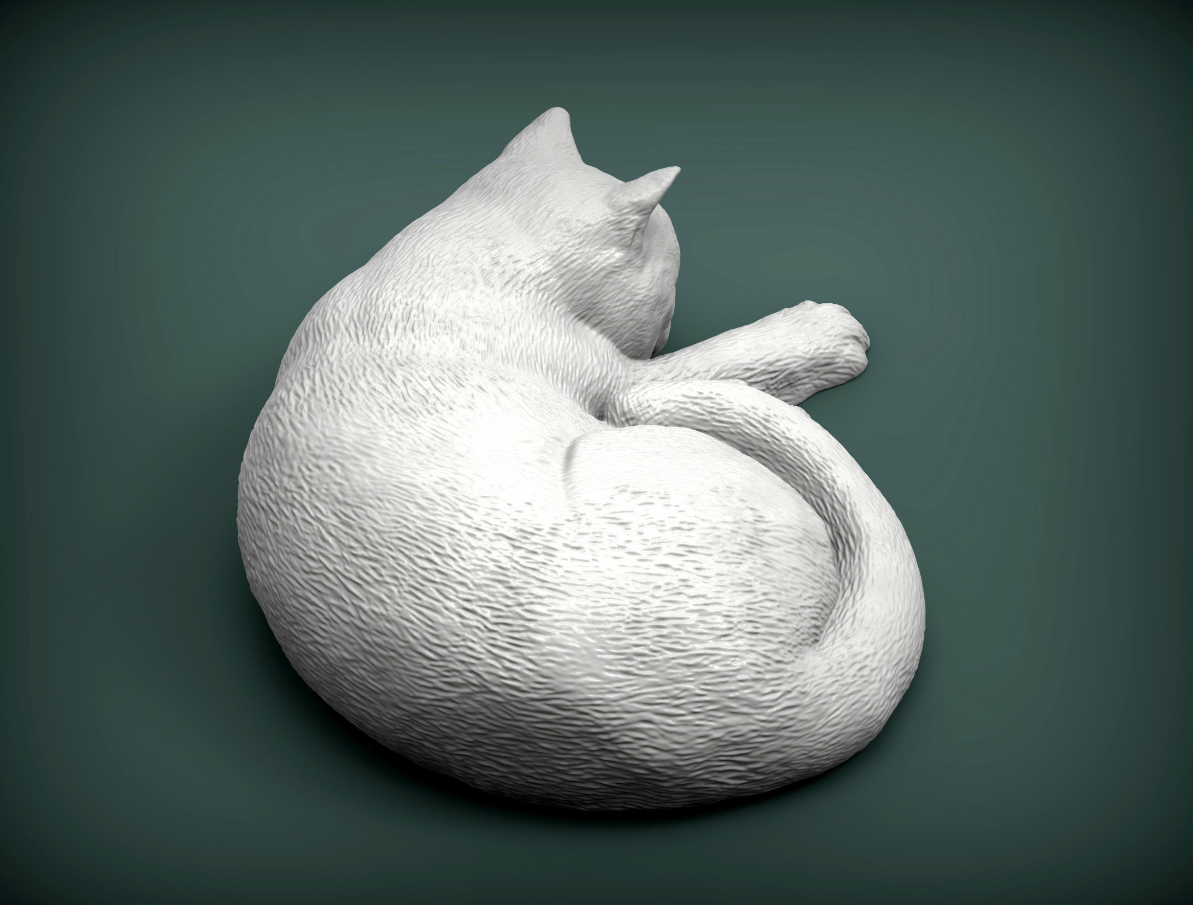british shorthair cat 3D print model_5