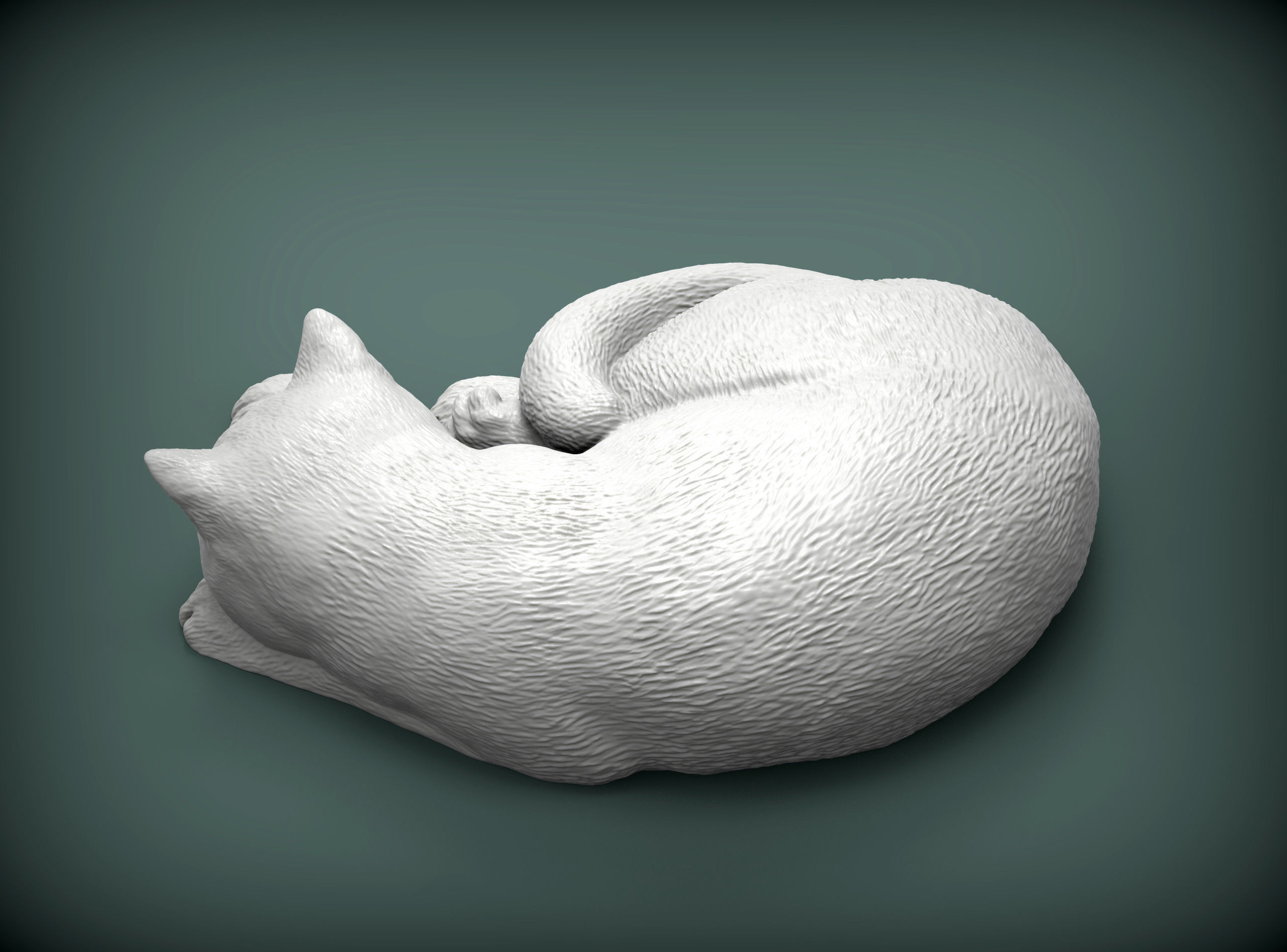 british shorthair cat 3D print model_4