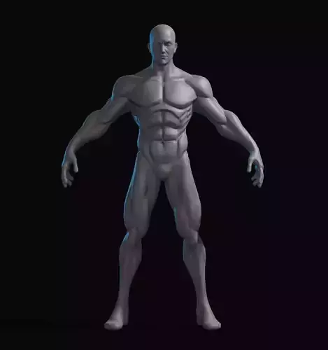 Stylized Male Basemesh
