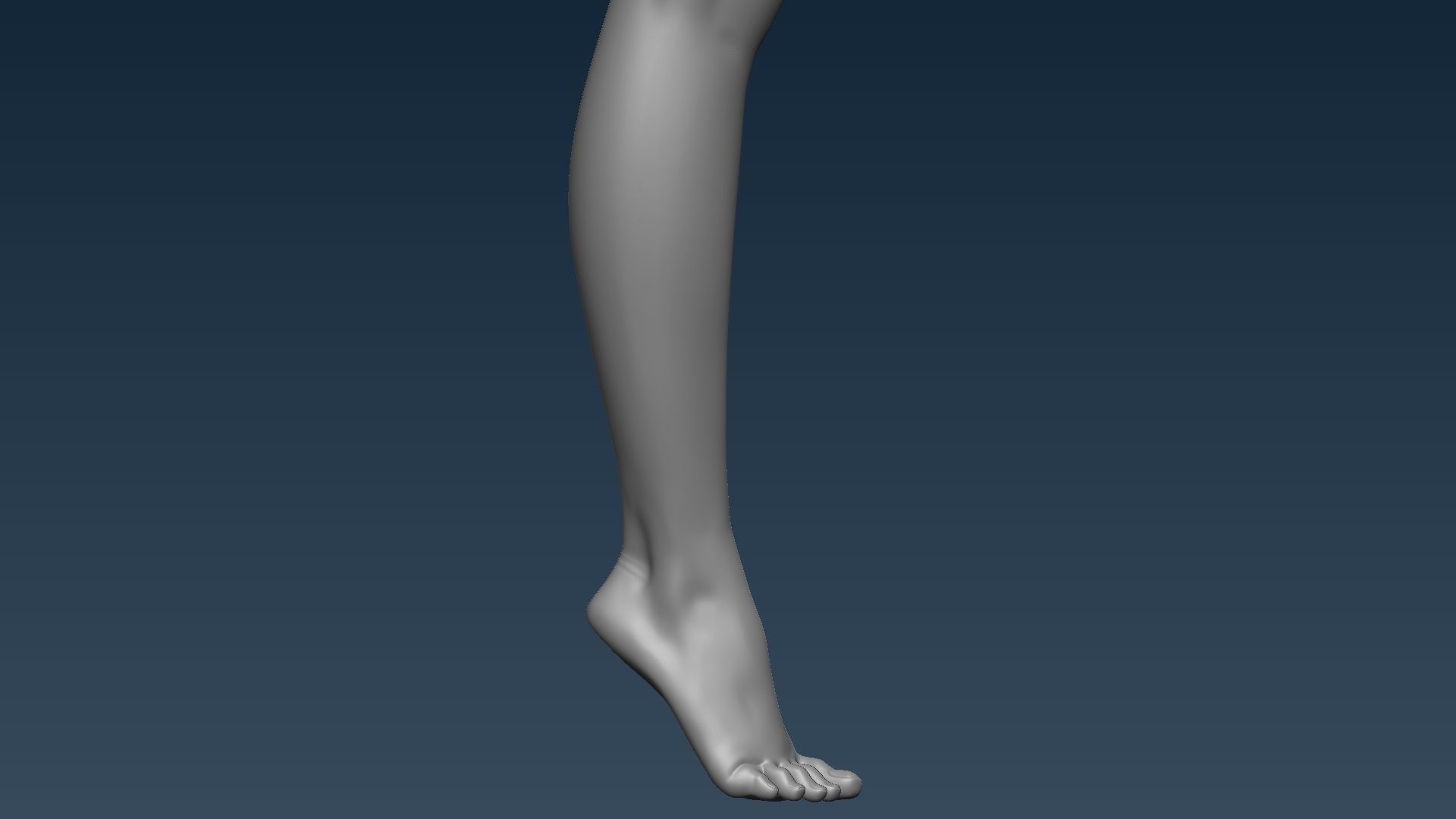 Female base mesh 3D model_12