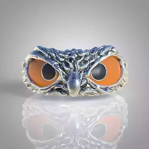 Owl Ring  3D printable model 0244 3D print model