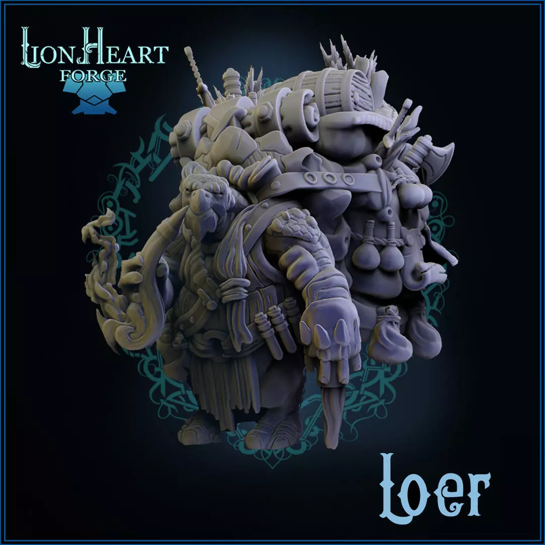 Loer the turtle merchant 3D print model
