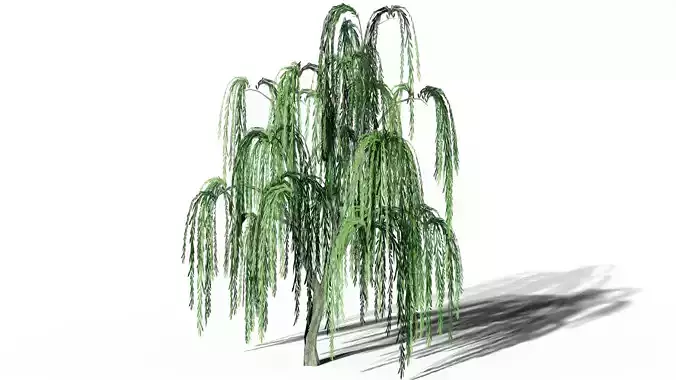 Willow Tree Lowpoly