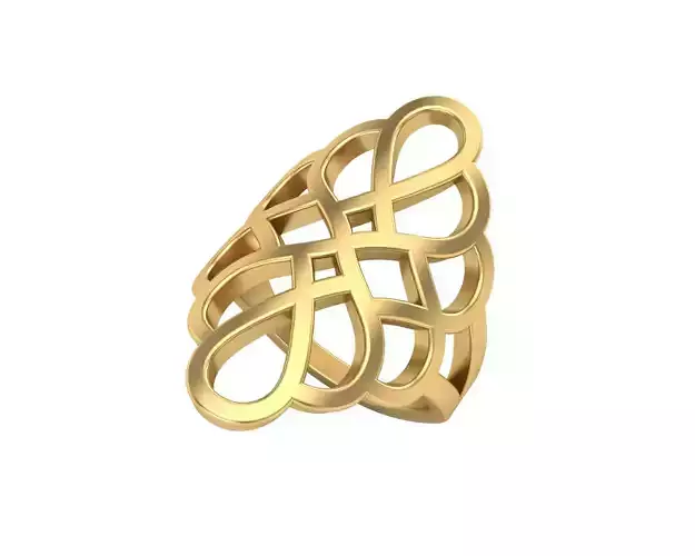 Geometric Ring