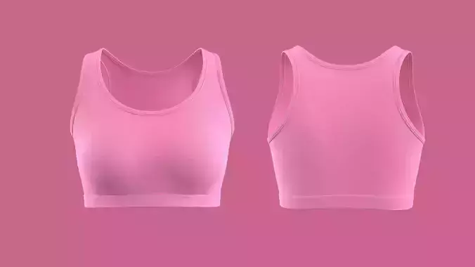 Classic Sporty Premium Bra Design 