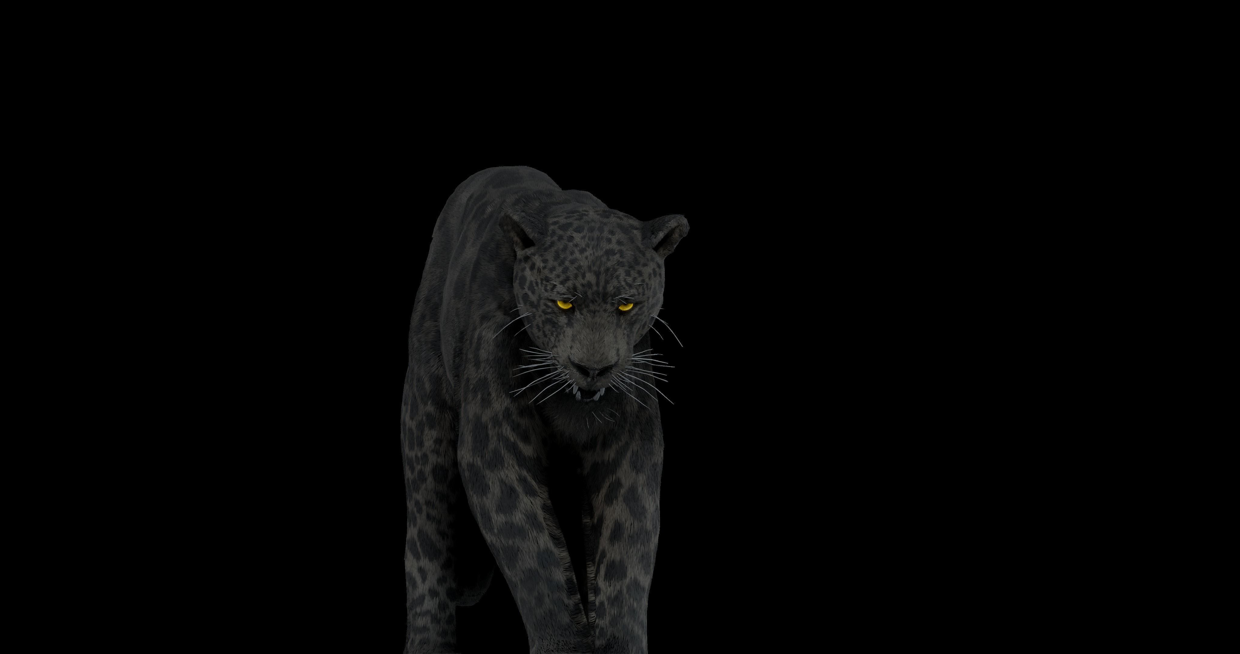 Black panther Jaguar Photorealistic Rigged 3d Blender 4K model 3D model_12