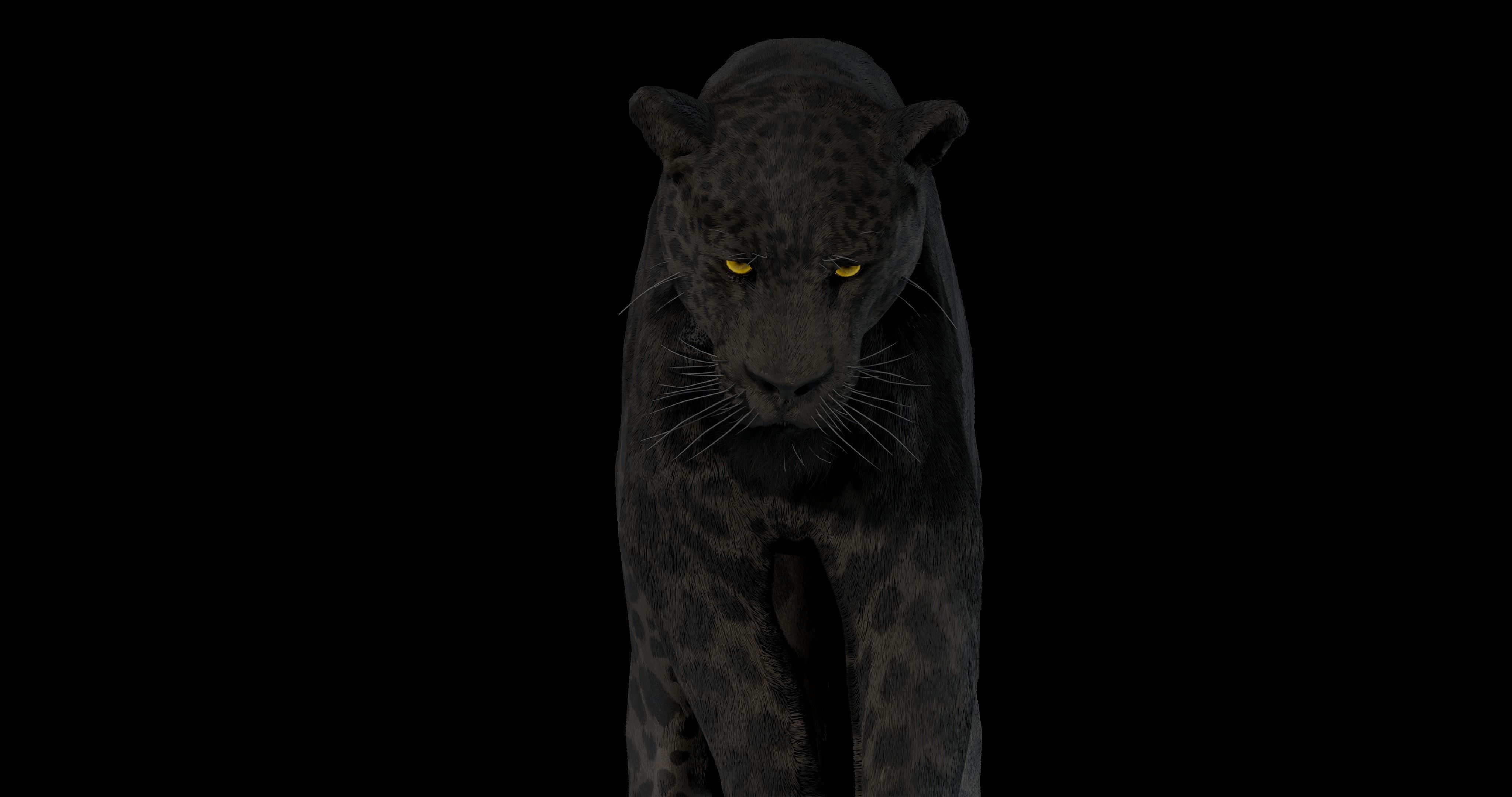 Black panther Jaguar Photorealistic Rigged 3d Blender 4K model 3D model_16