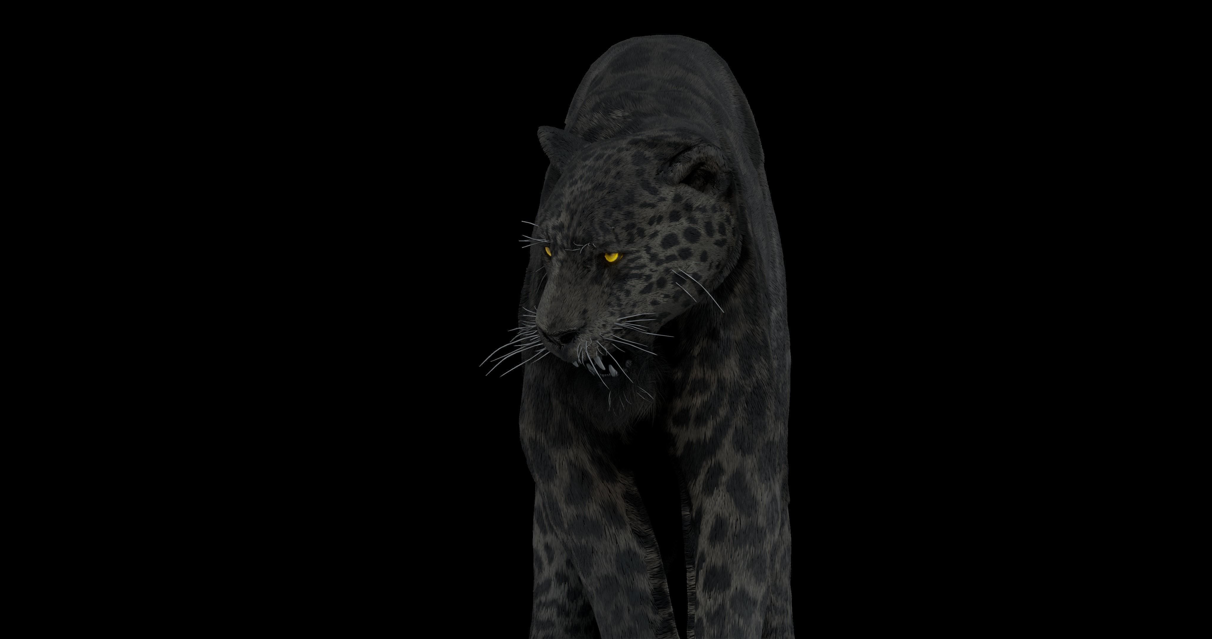 Black panther Jaguar Photorealistic Rigged 3d Blender 4K model 3D model_14