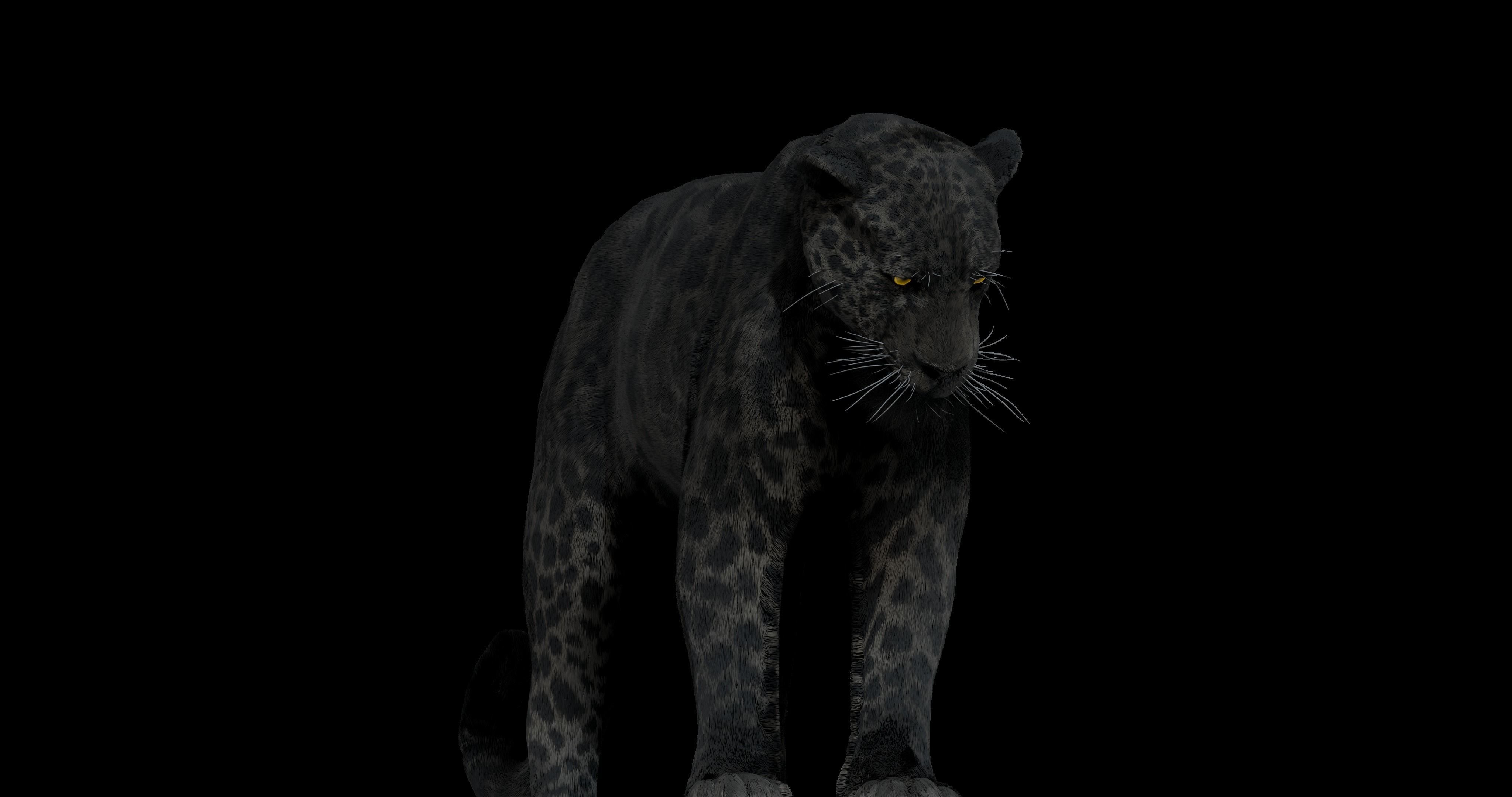 Black panther Jaguar Photorealistic Rigged 3d Blender 4K model 3D model_8
