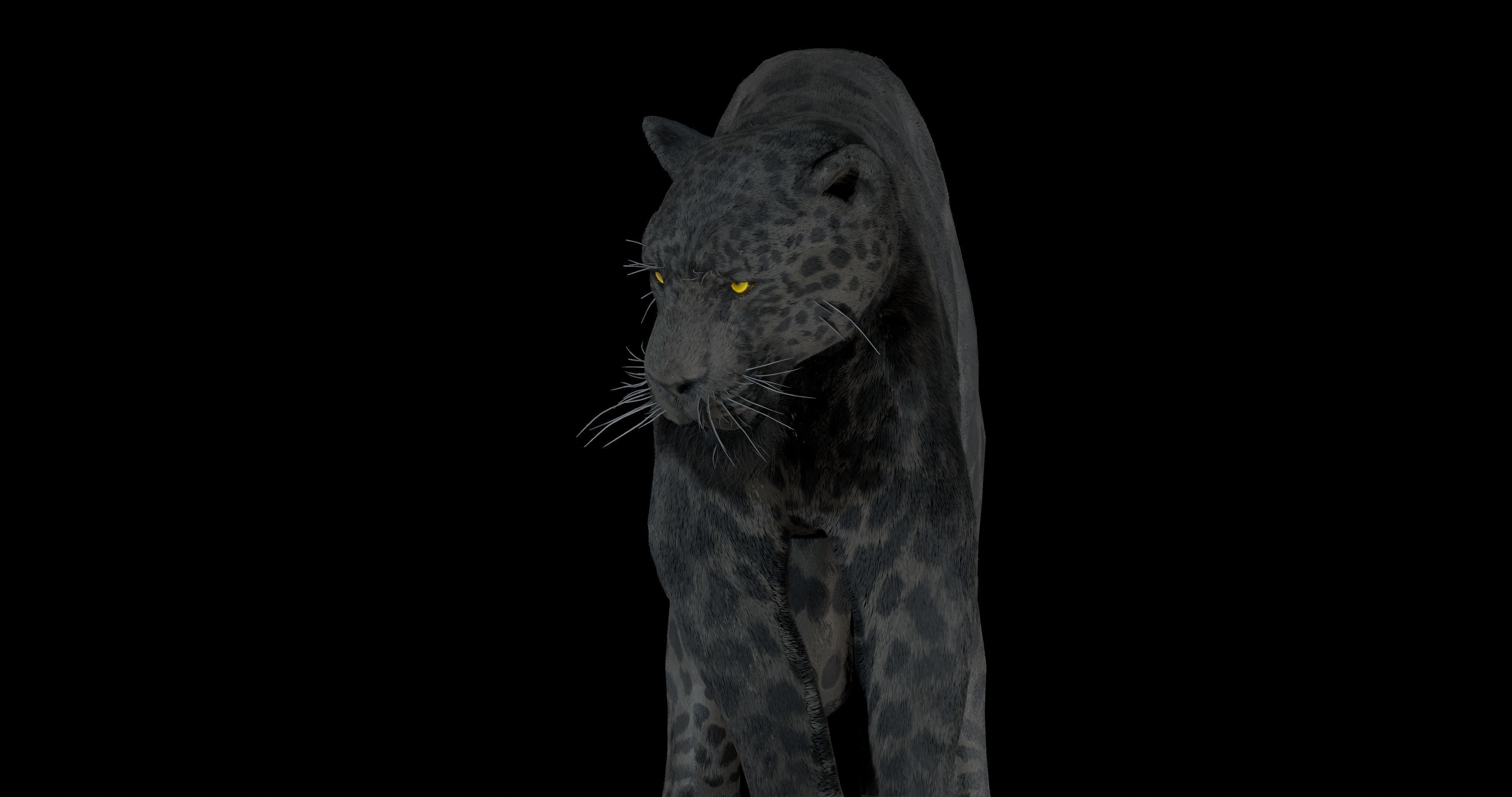 Black panther Jaguar Photorealistic Rigged 3d Blender 4K model 3D model_5
