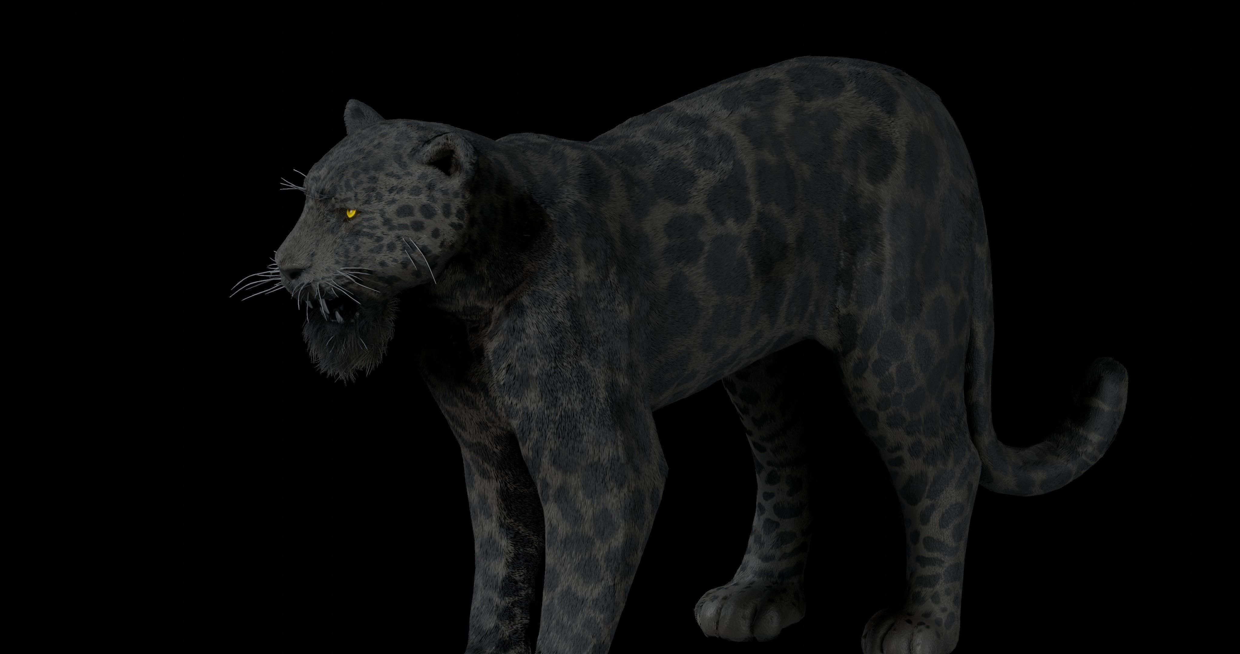 Black panther Jaguar Photorealistic Rigged 3d Blender 4K model 3D model_6
