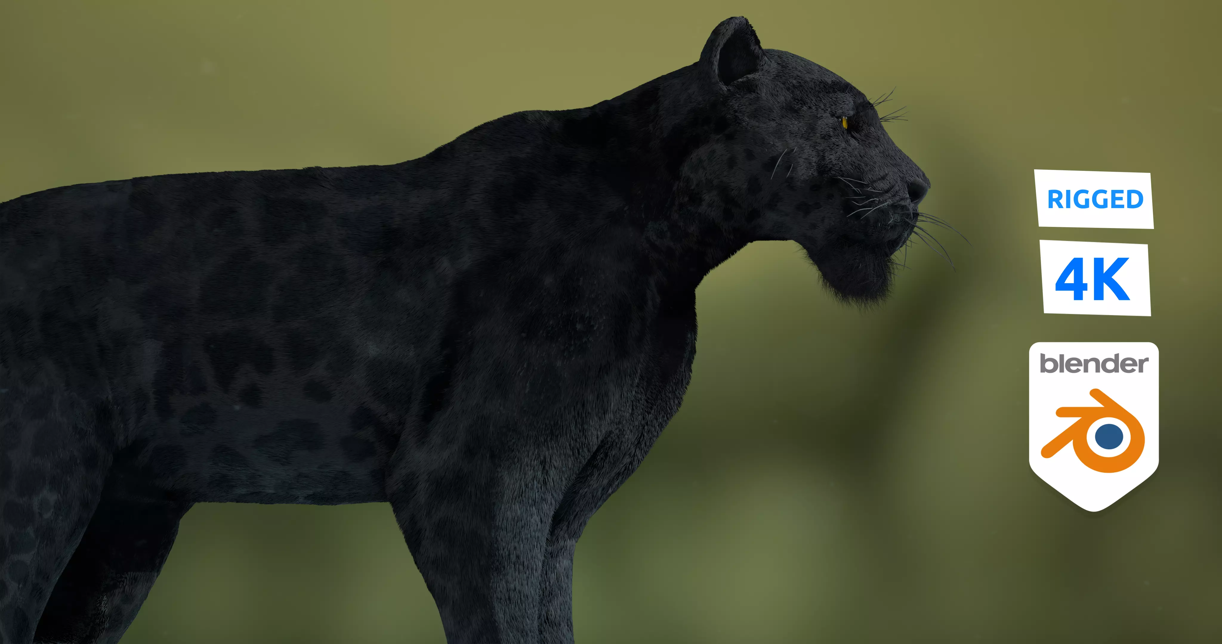 Black panther Jaguar Photorealistic Rigged 3d Blender 4K model 3D model_0