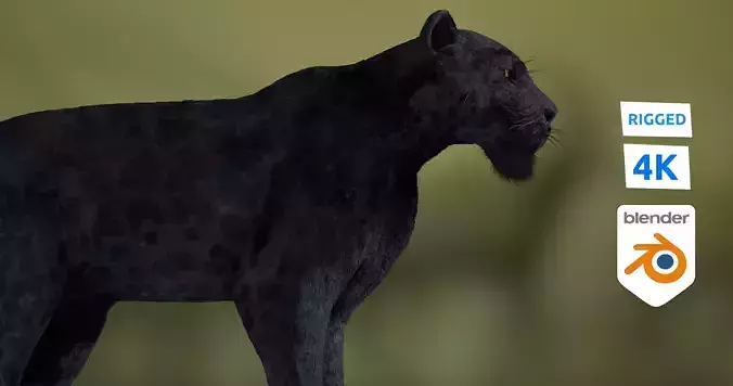 Black panther Jaguar Photorealistic Rigged 3d Blender 4K model  3D model