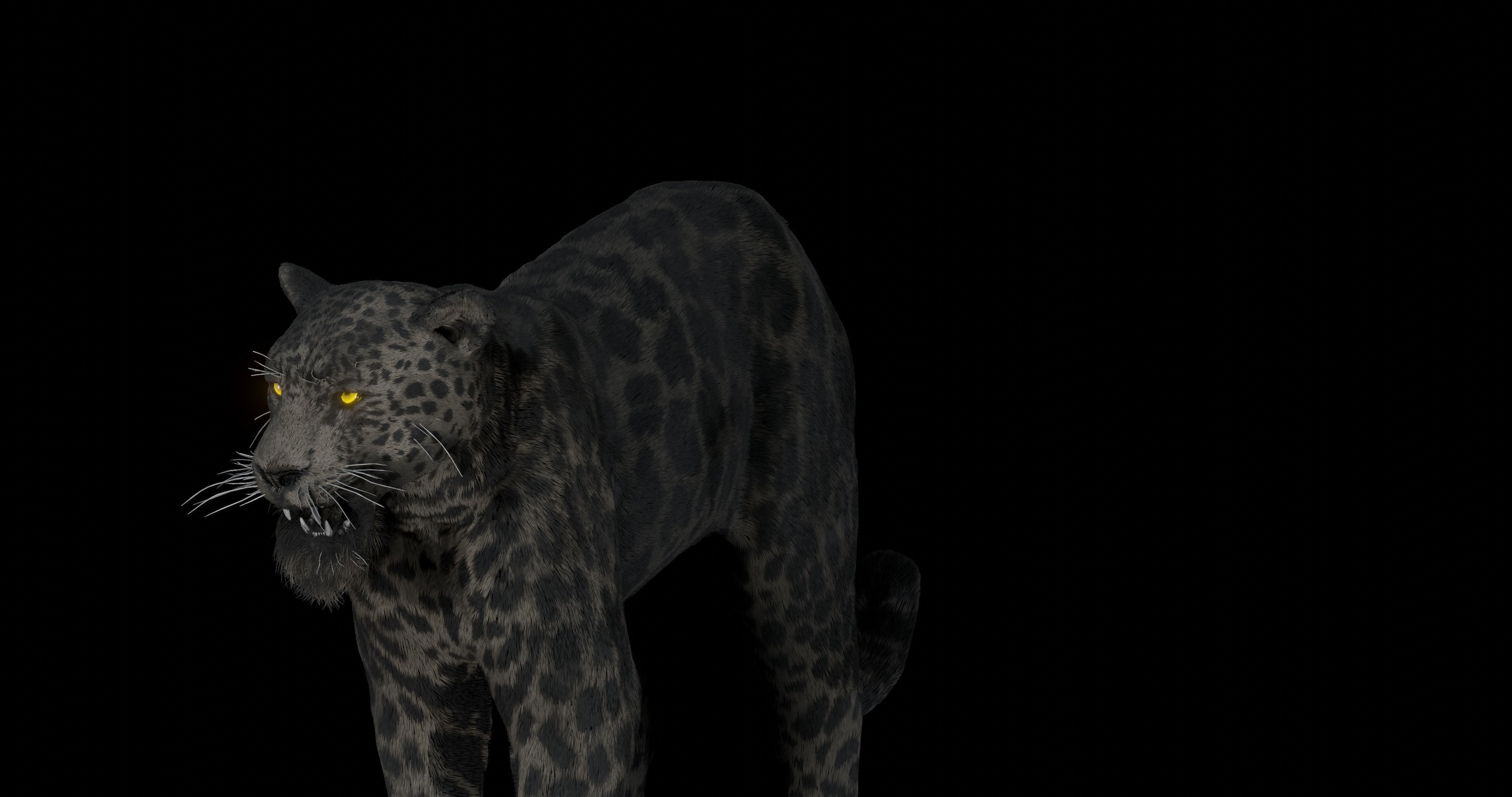 Black panther Jaguar Photorealistic Rigged 3d Blender 4K model 3D model_11
