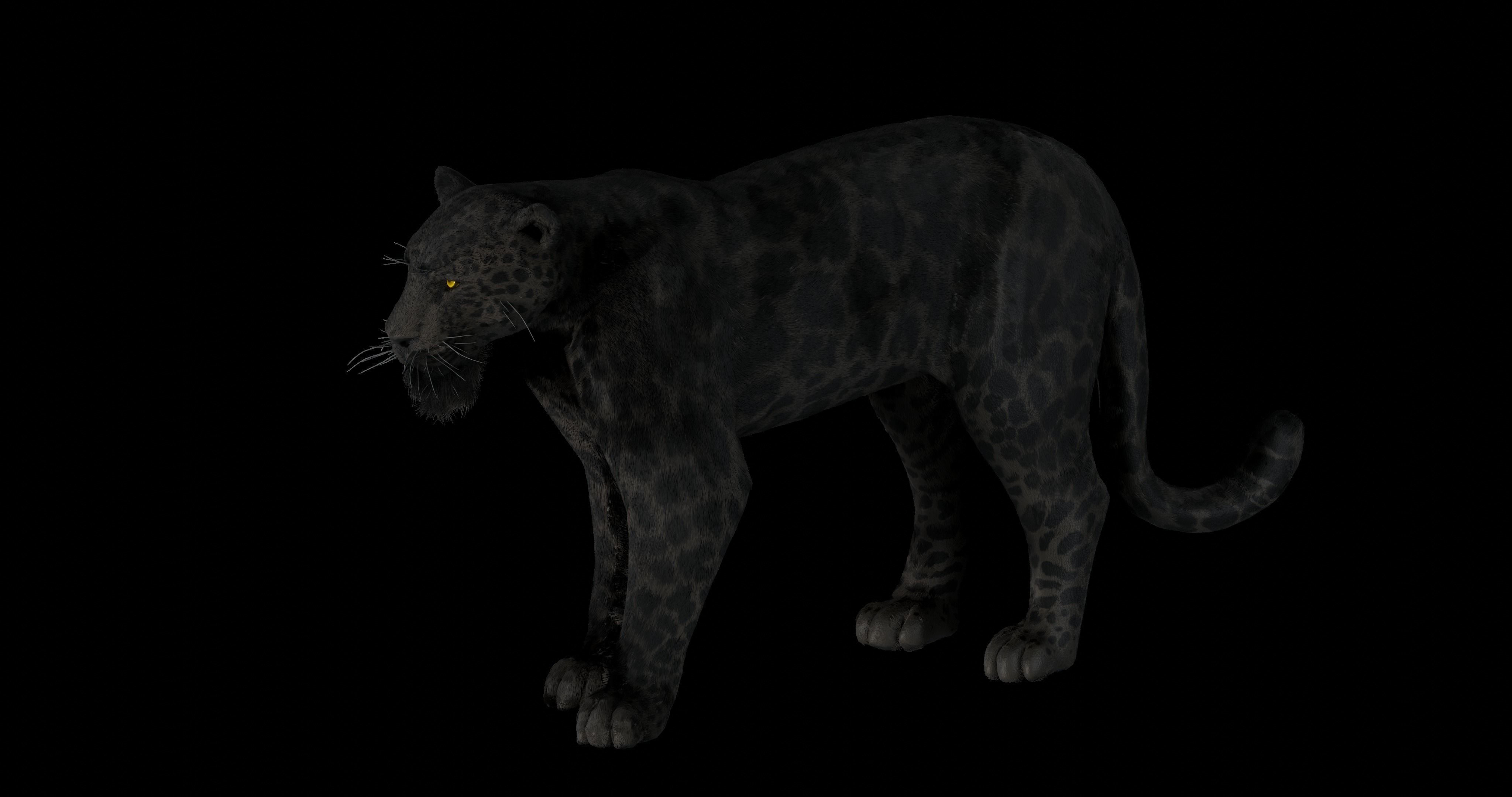 Black panther Jaguar Photorealistic Rigged 3d Blender 4K model 3D model_4