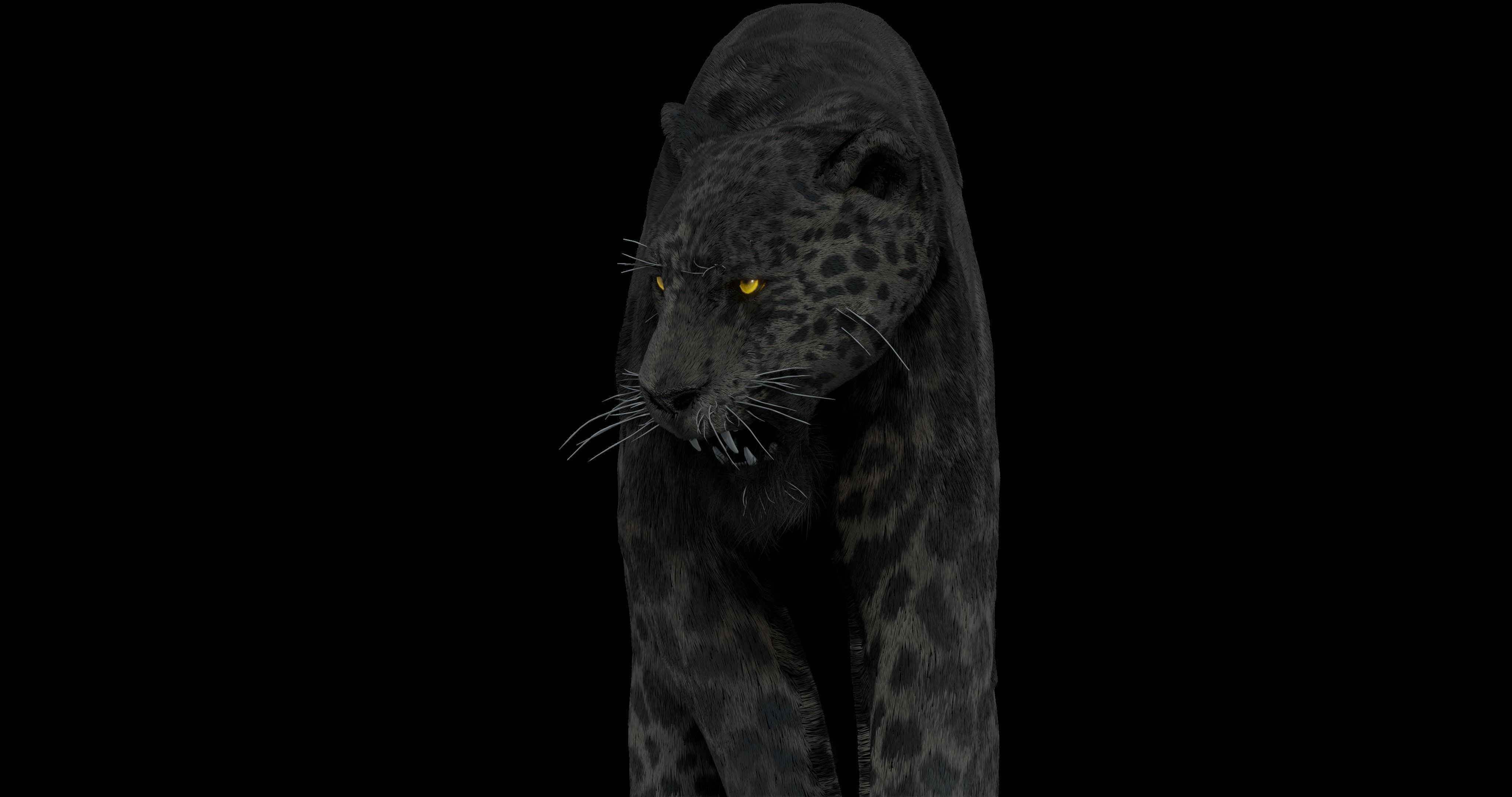 Black panther Jaguar Photorealistic Rigged 3d Blender 4K model 3D model_15