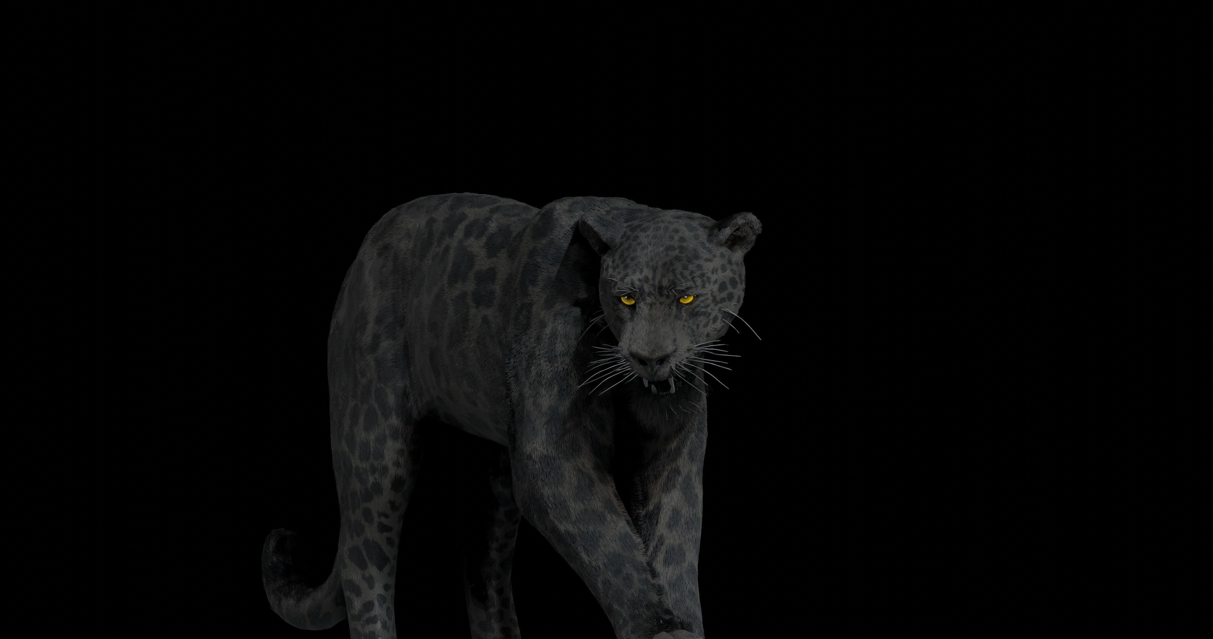 Black panther Jaguar Photorealistic Rigged 3d Blender 4K model 3D model_10