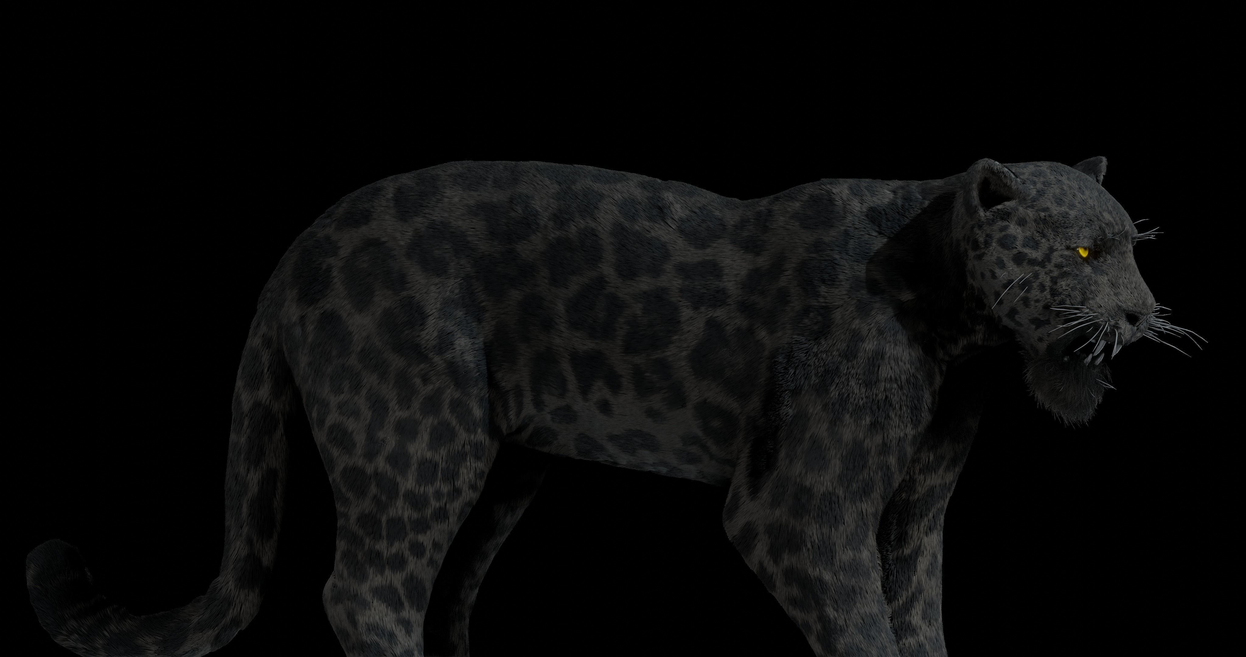 Black panther Jaguar Photorealistic Rigged 3d Blender 4K model 3D model_9