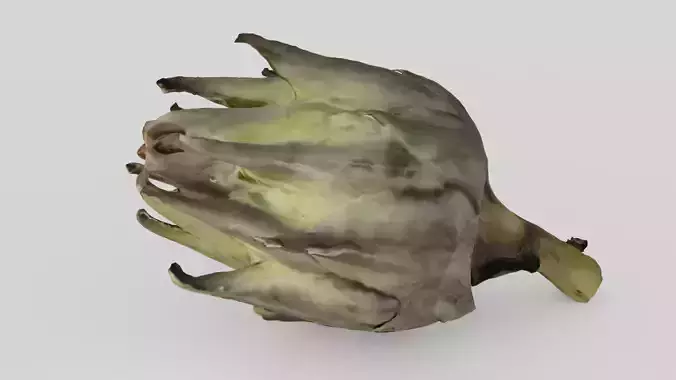 artichoke