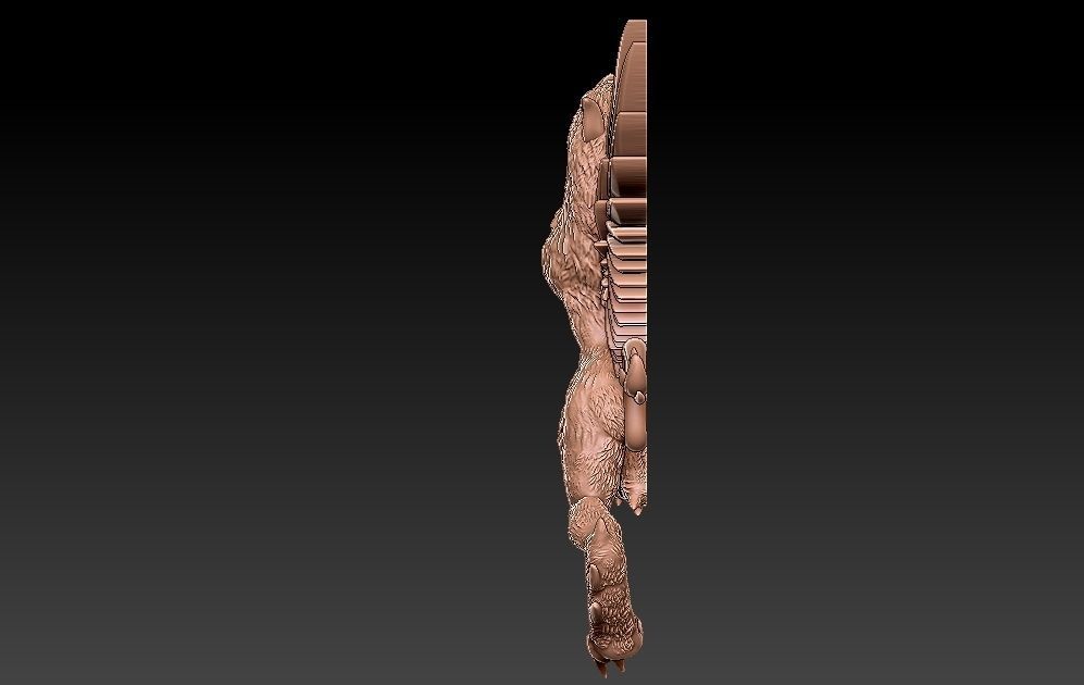 Griffin Bird 3D print model_1