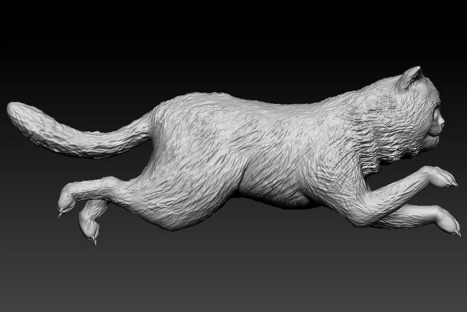 exotic short Cat 3D print model_0