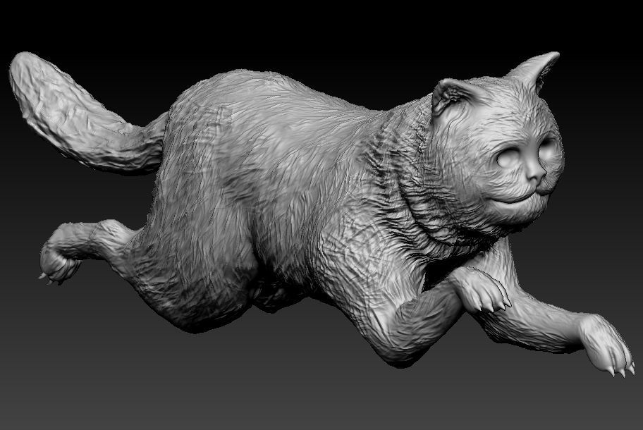 exotic short Cat 3D print model_1