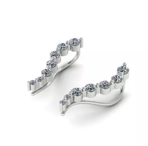 Earrings Model 2432 3D print model