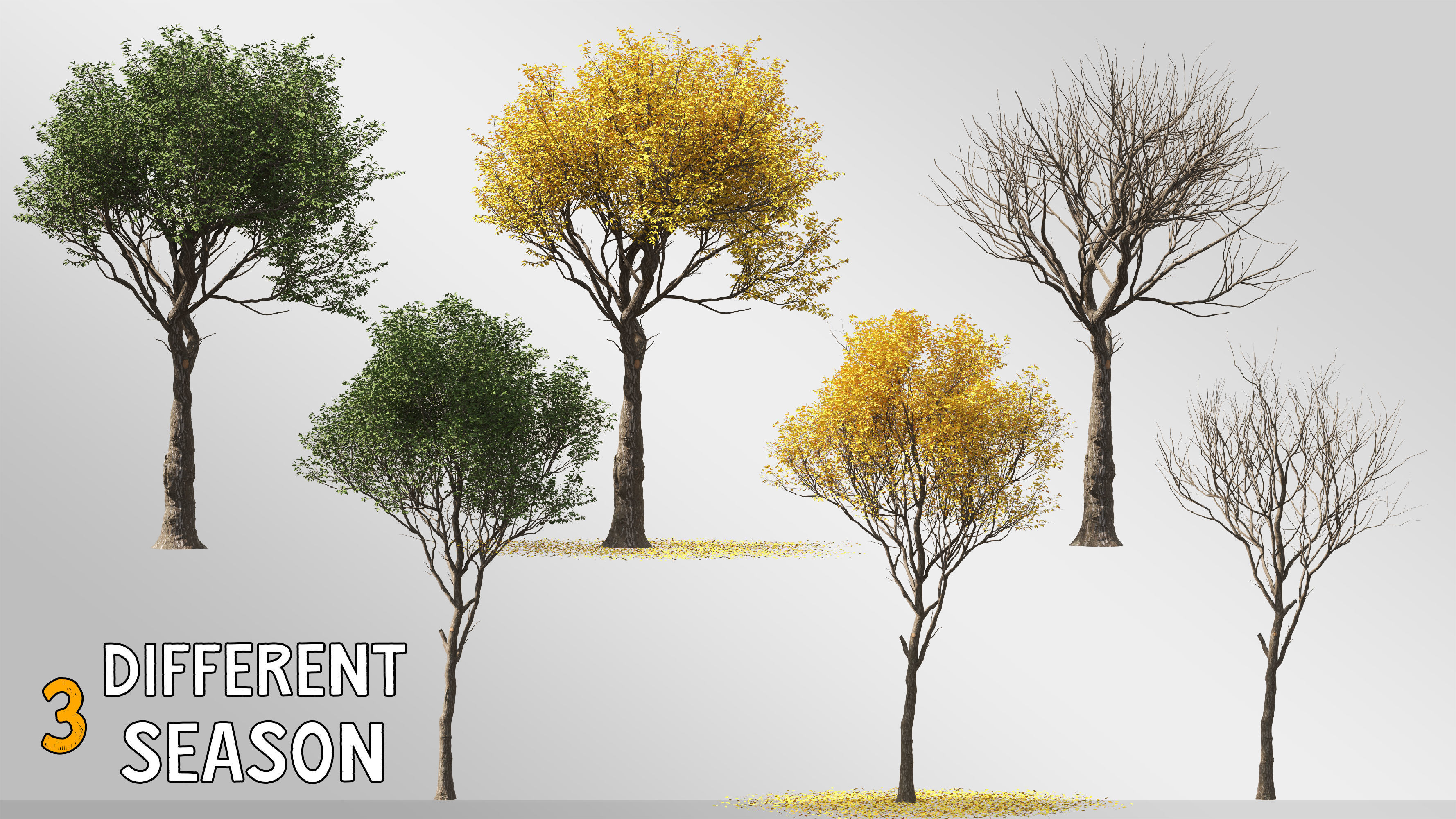6 tree 3d models 3D model_1
