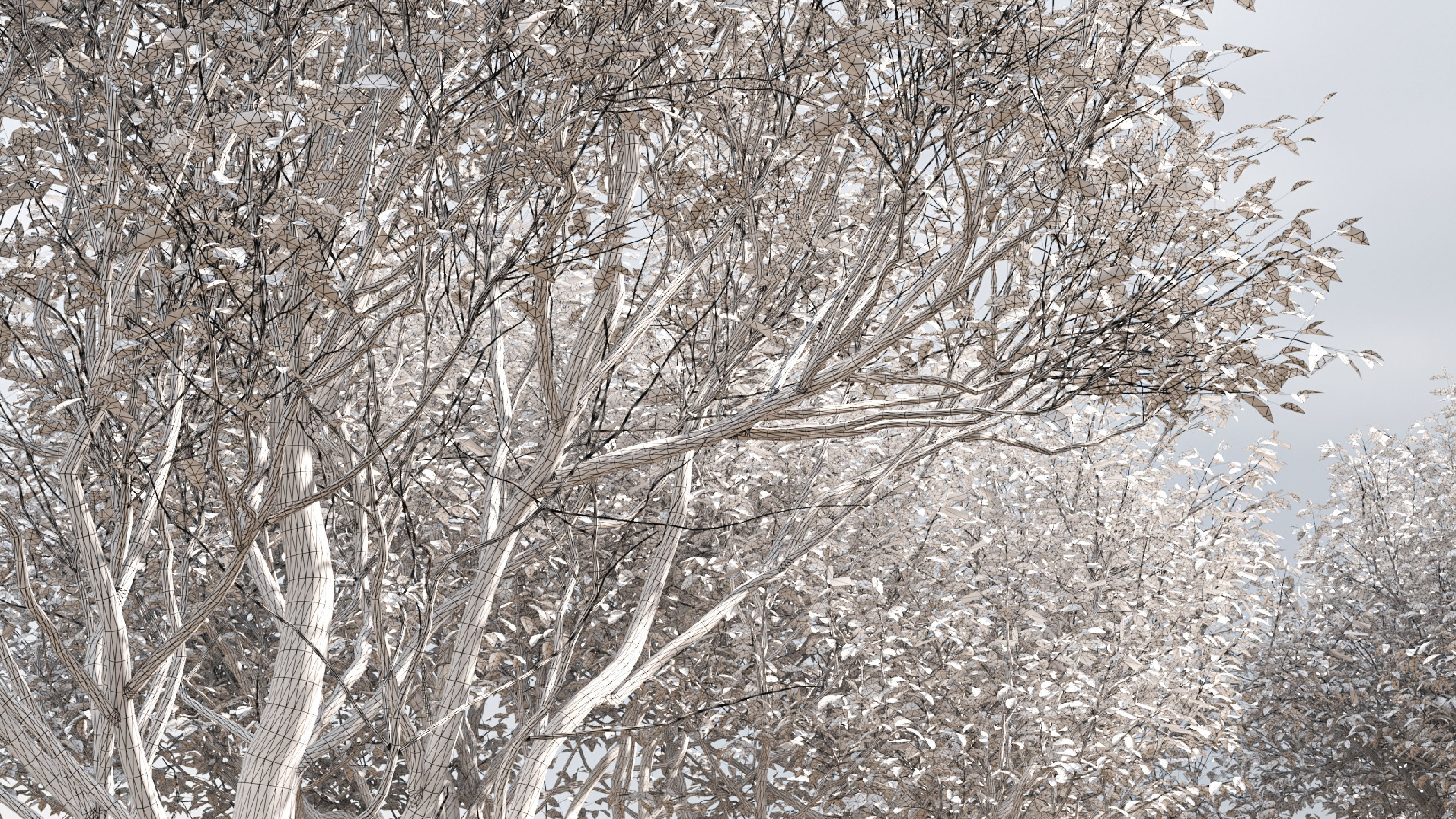 6 tree 3d models 3D model_7