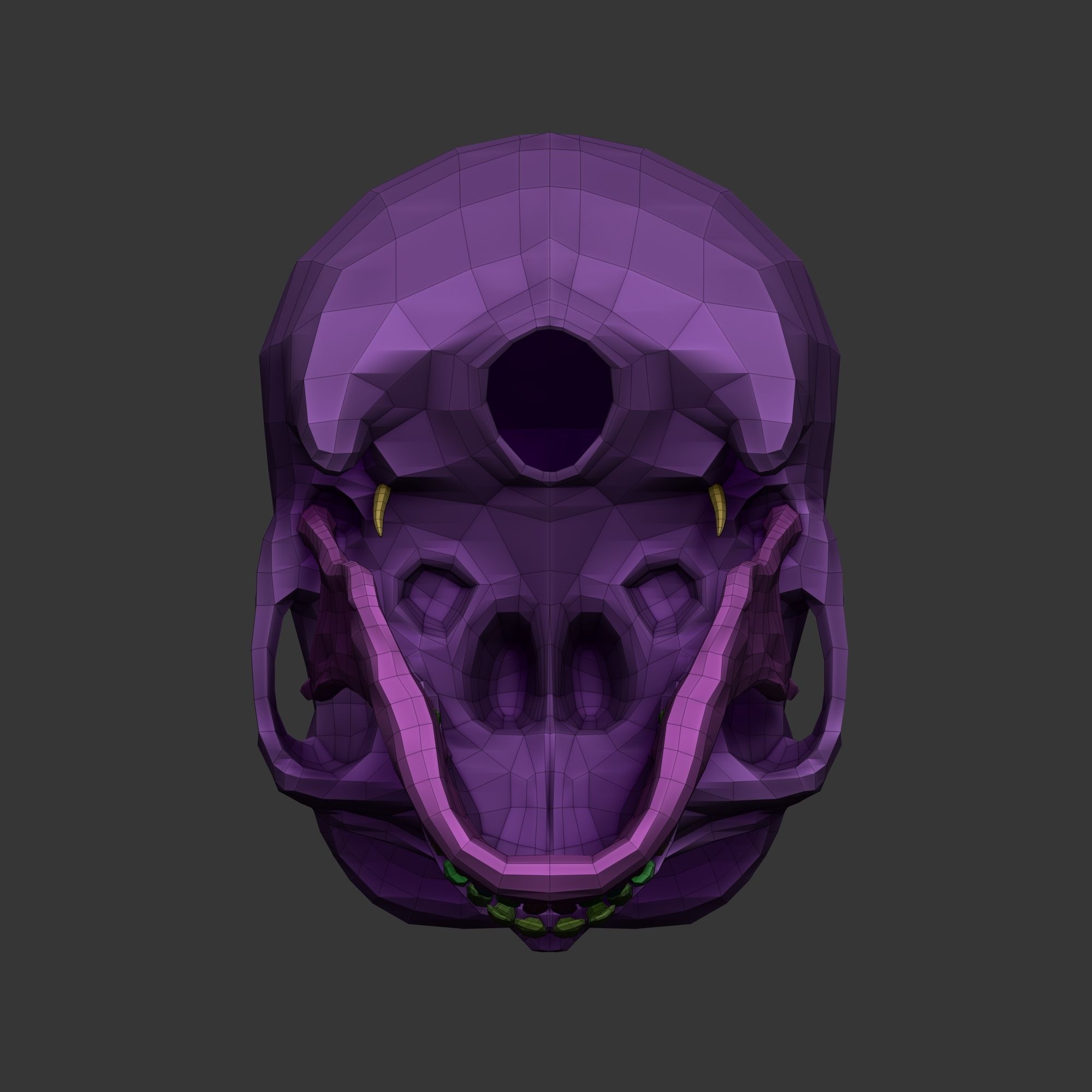 Human Skull Model Low-poly 3D model_14
