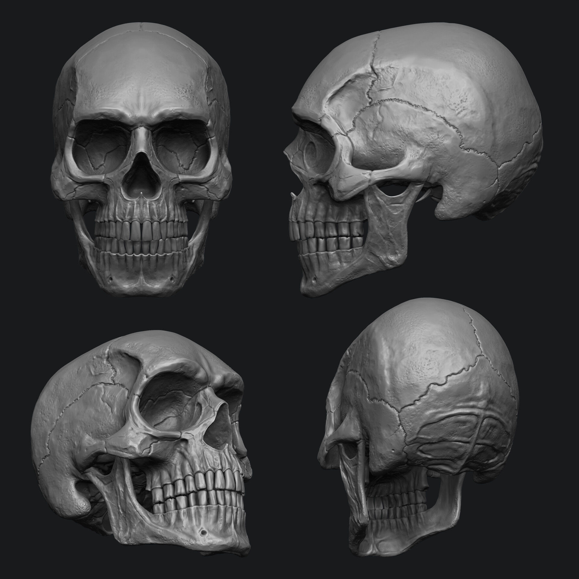 Human Skull Model Low-poly 3D model_2