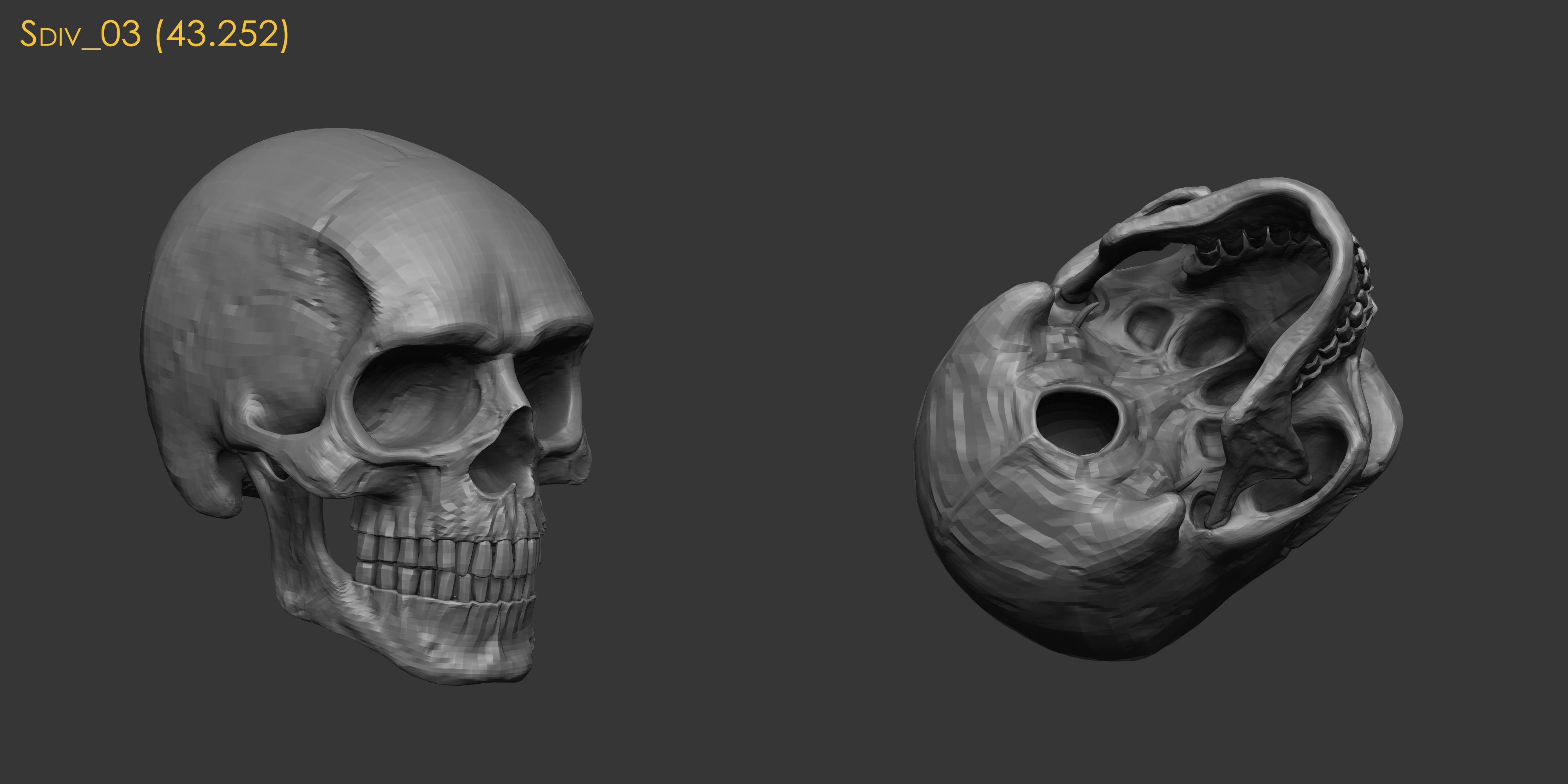 Human Skull Model Low-poly 3D model_6