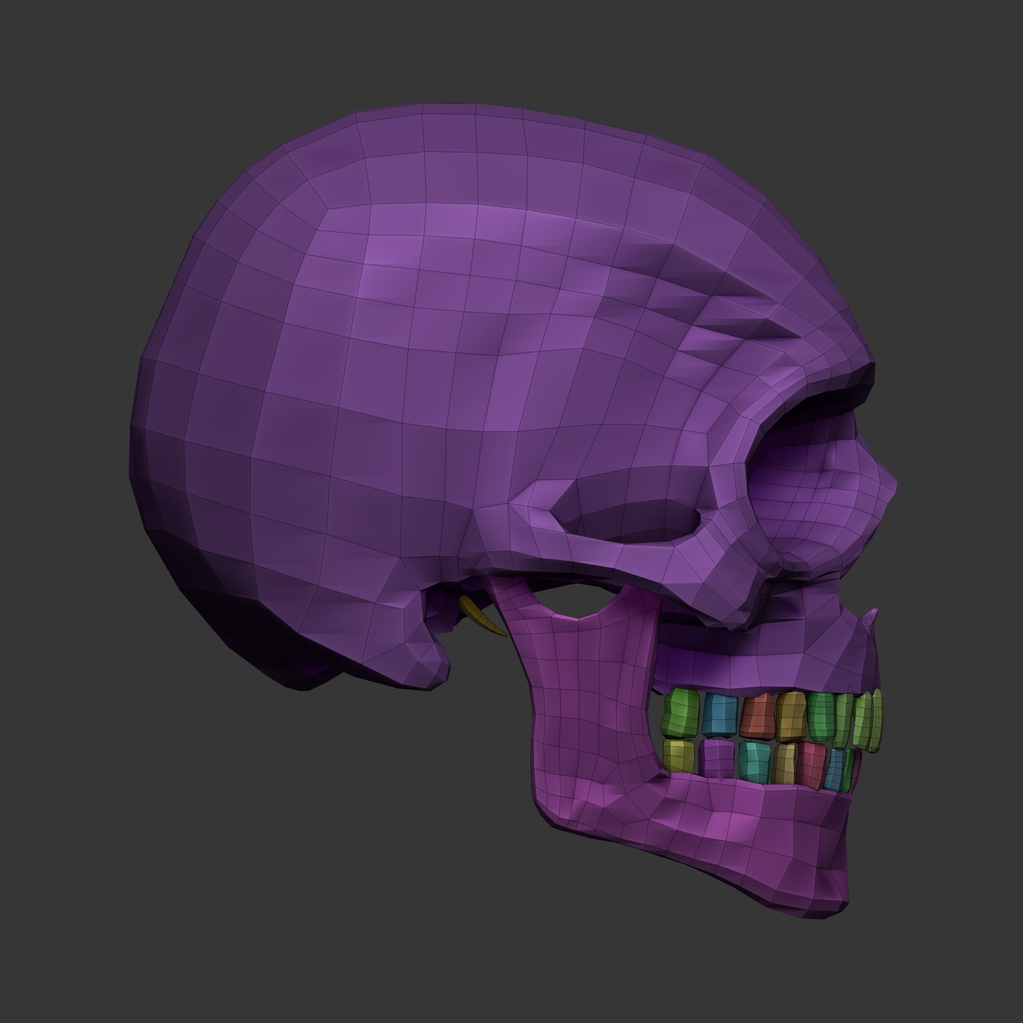 Human Skull Model Low-poly 3D model_12