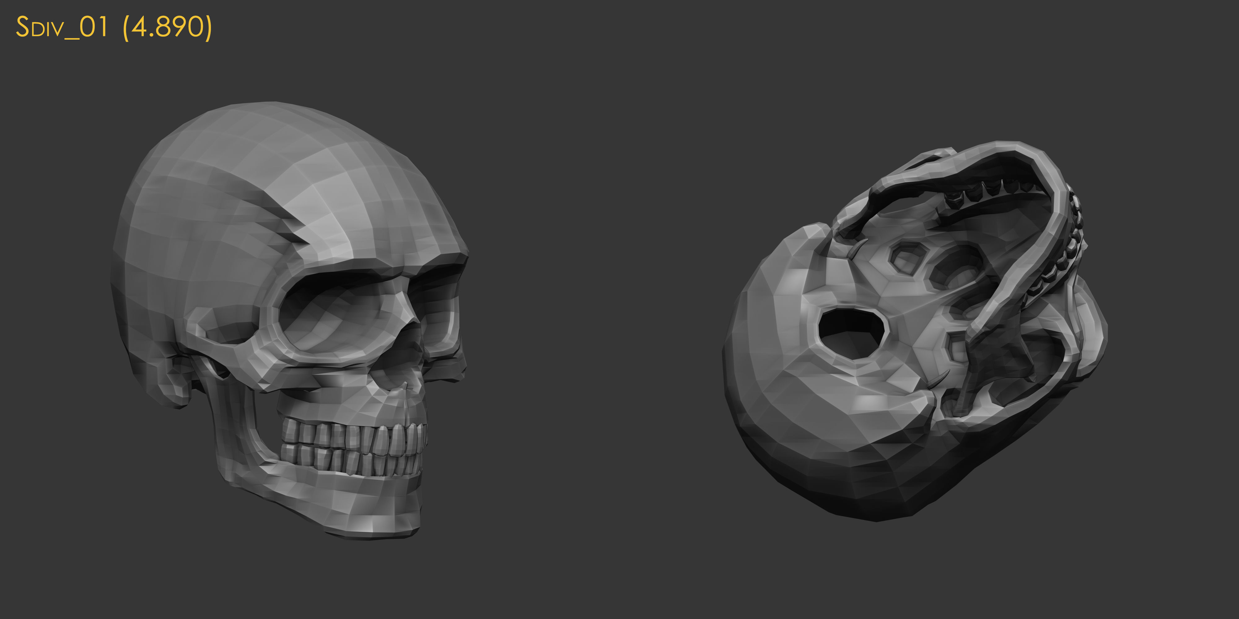 Human Skull Model Low-poly 3D model_4