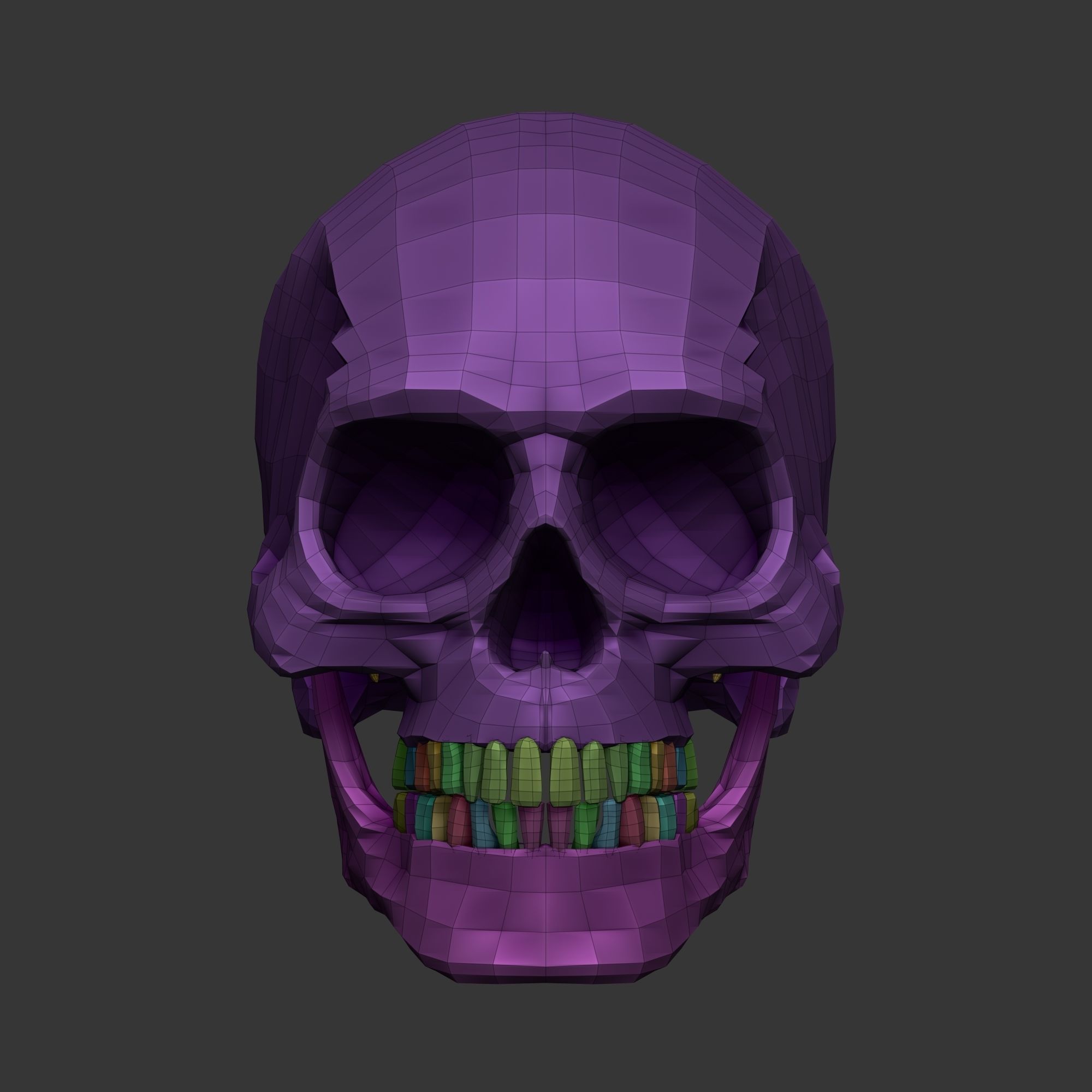 Human Skull Model Low-poly 3D model_11