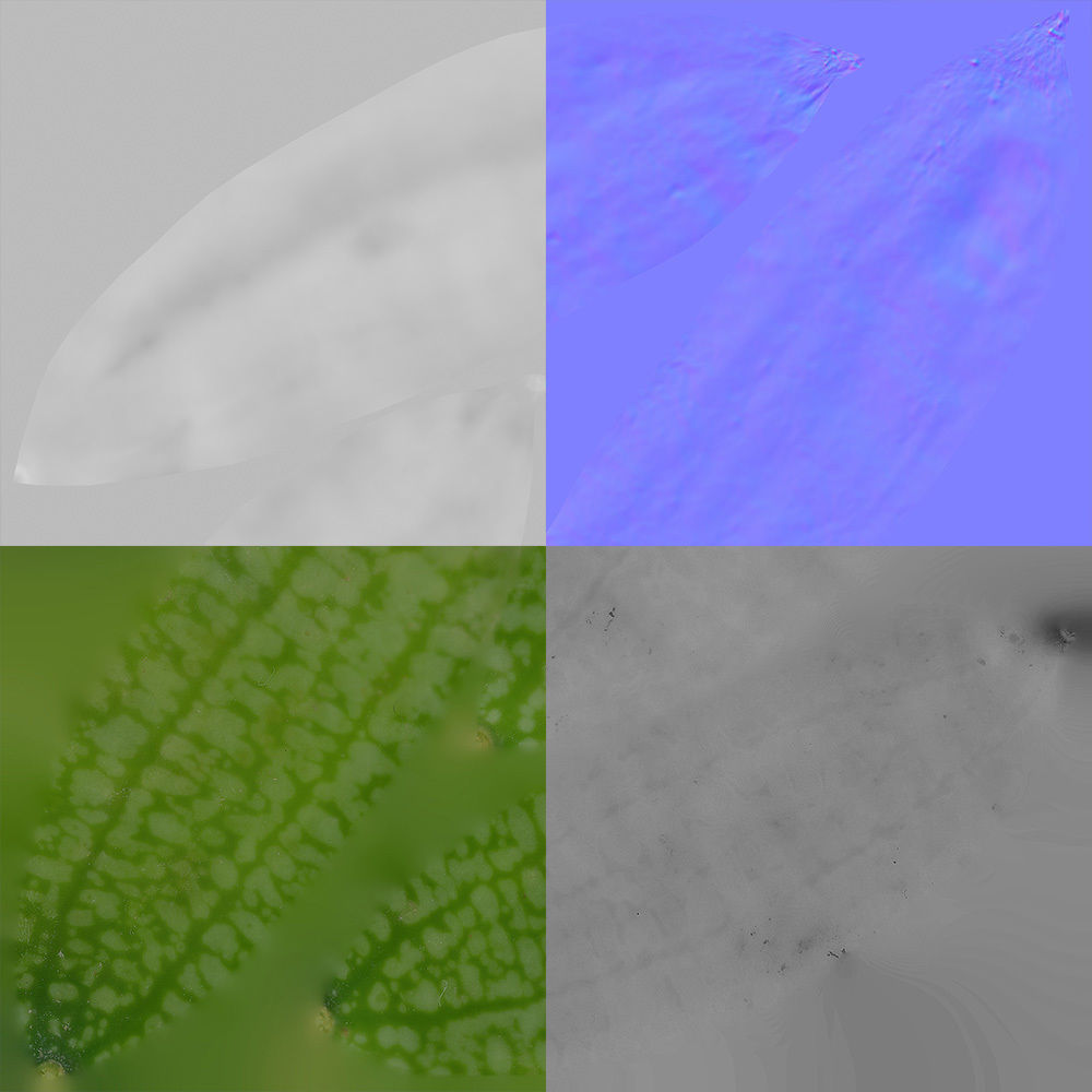 Cucamelon 3D model_8