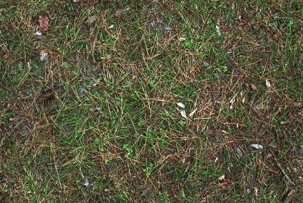 Modern office building No 5 3D model_13