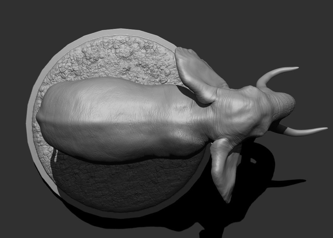 3D Print Elephant Pose 01 3D print model_4