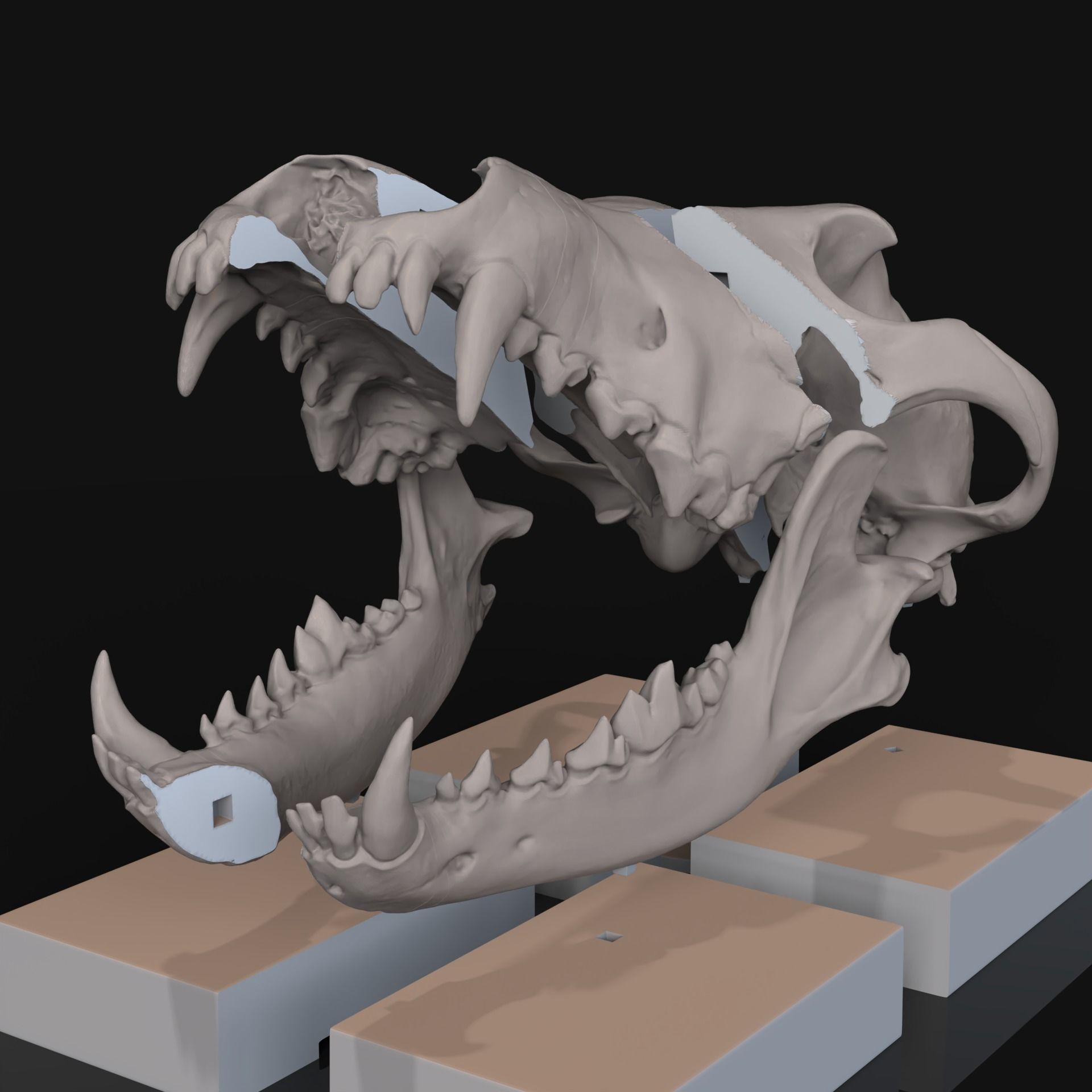 Deco Skull  3D print model_5