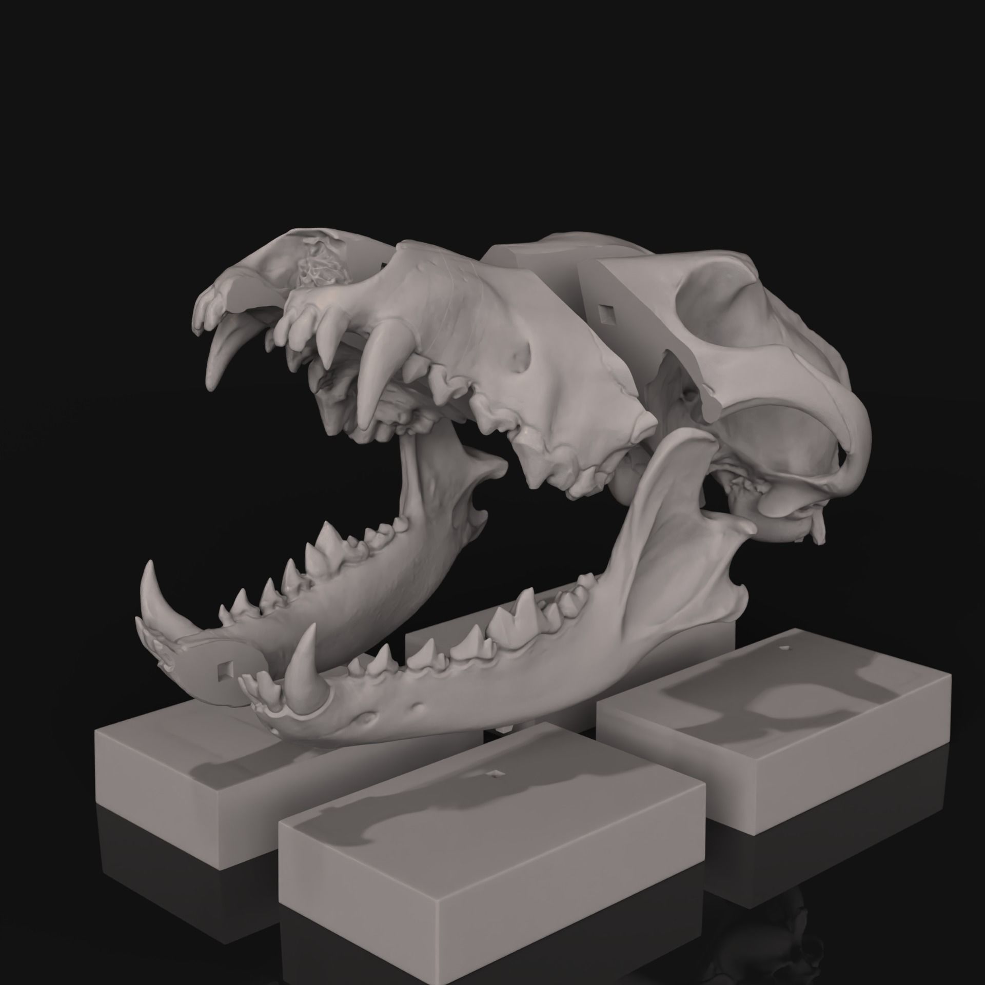 Deco Skull  3D print model_6