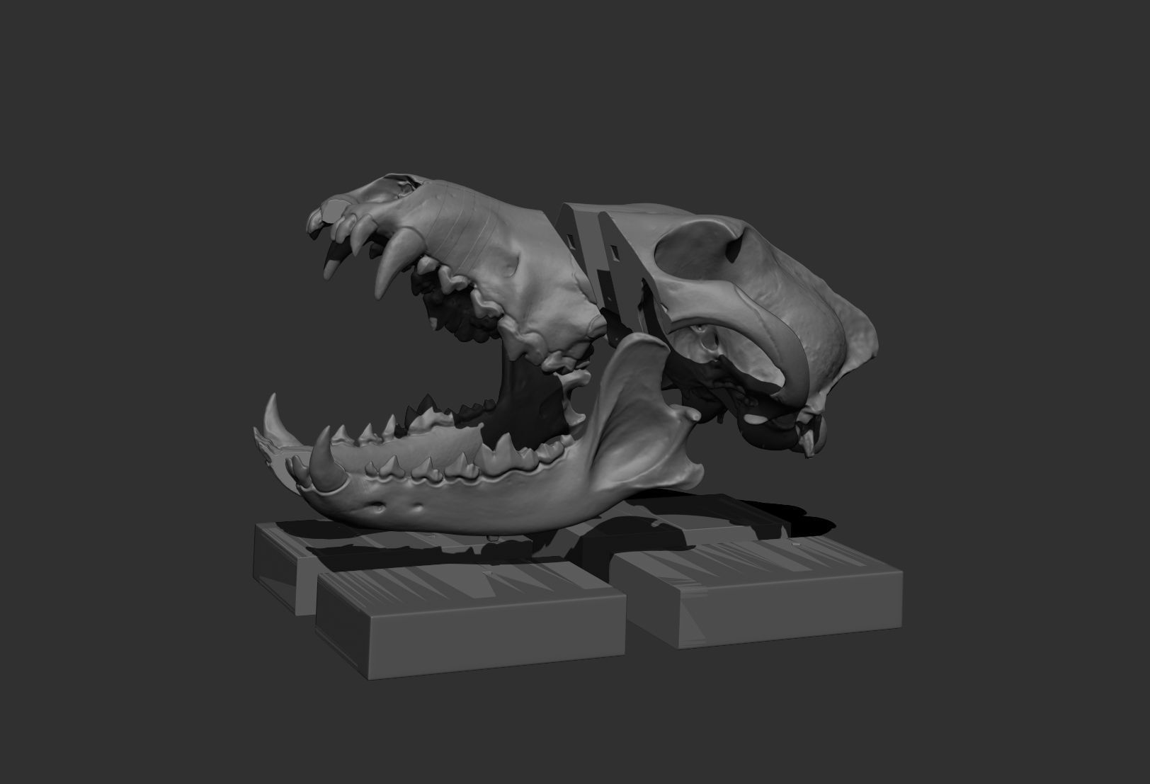 Deco Skull  3D print model_8
