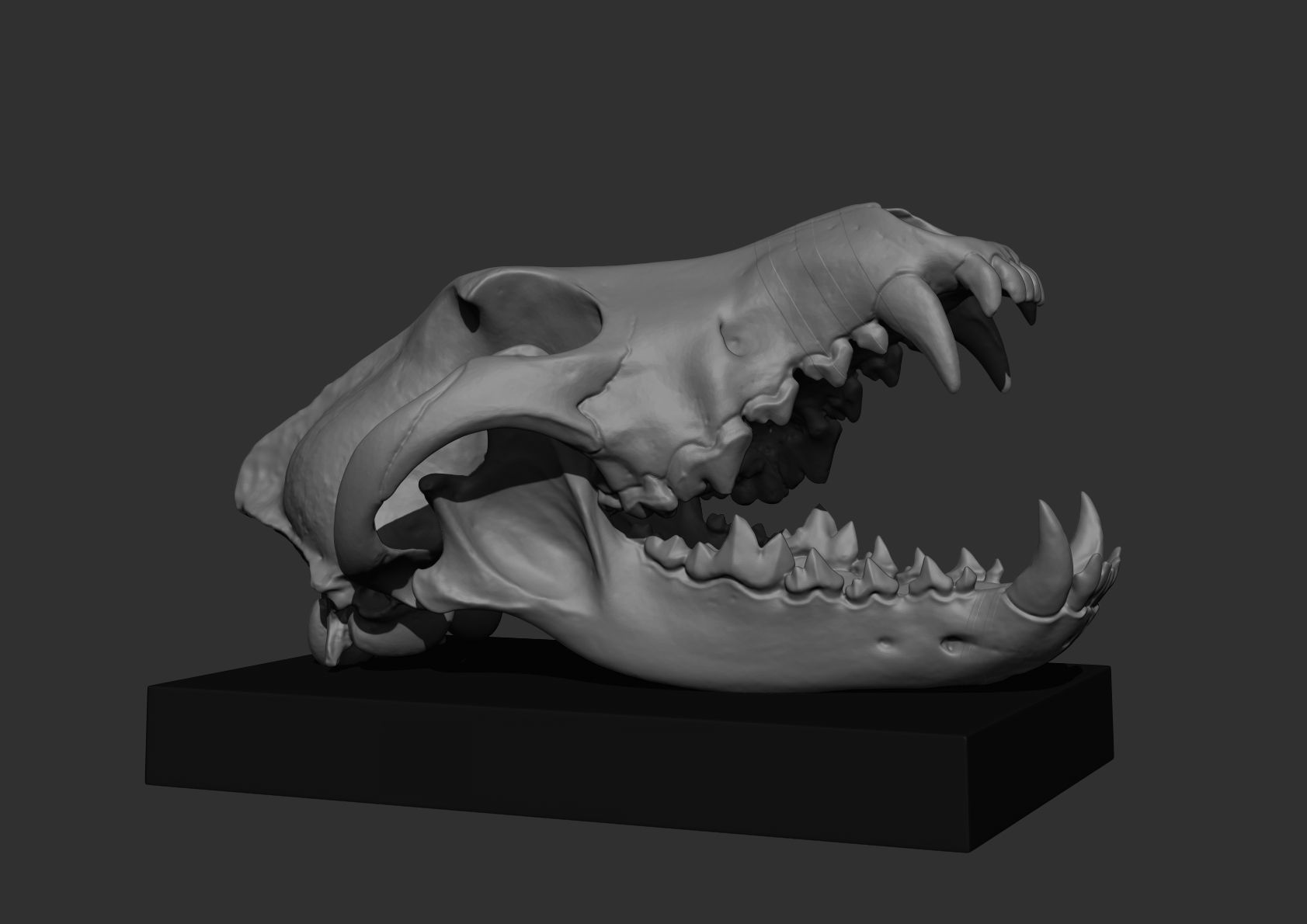 Deco Skull  3D print model_7