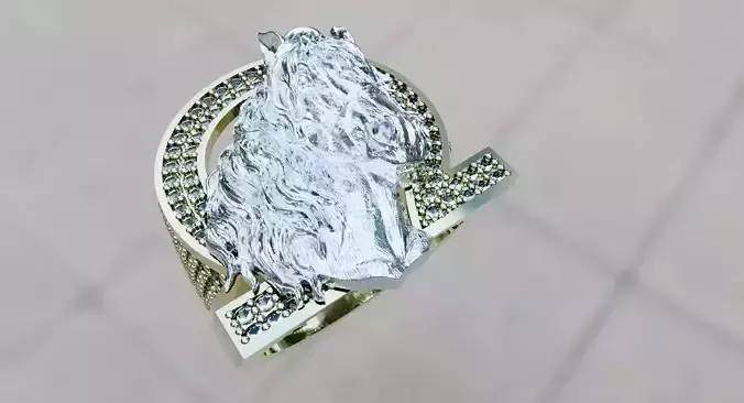 horse ring