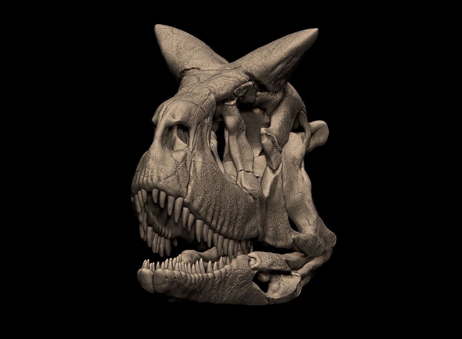 Carnotaurus Skull 3D Print Nodel 3D print model_7