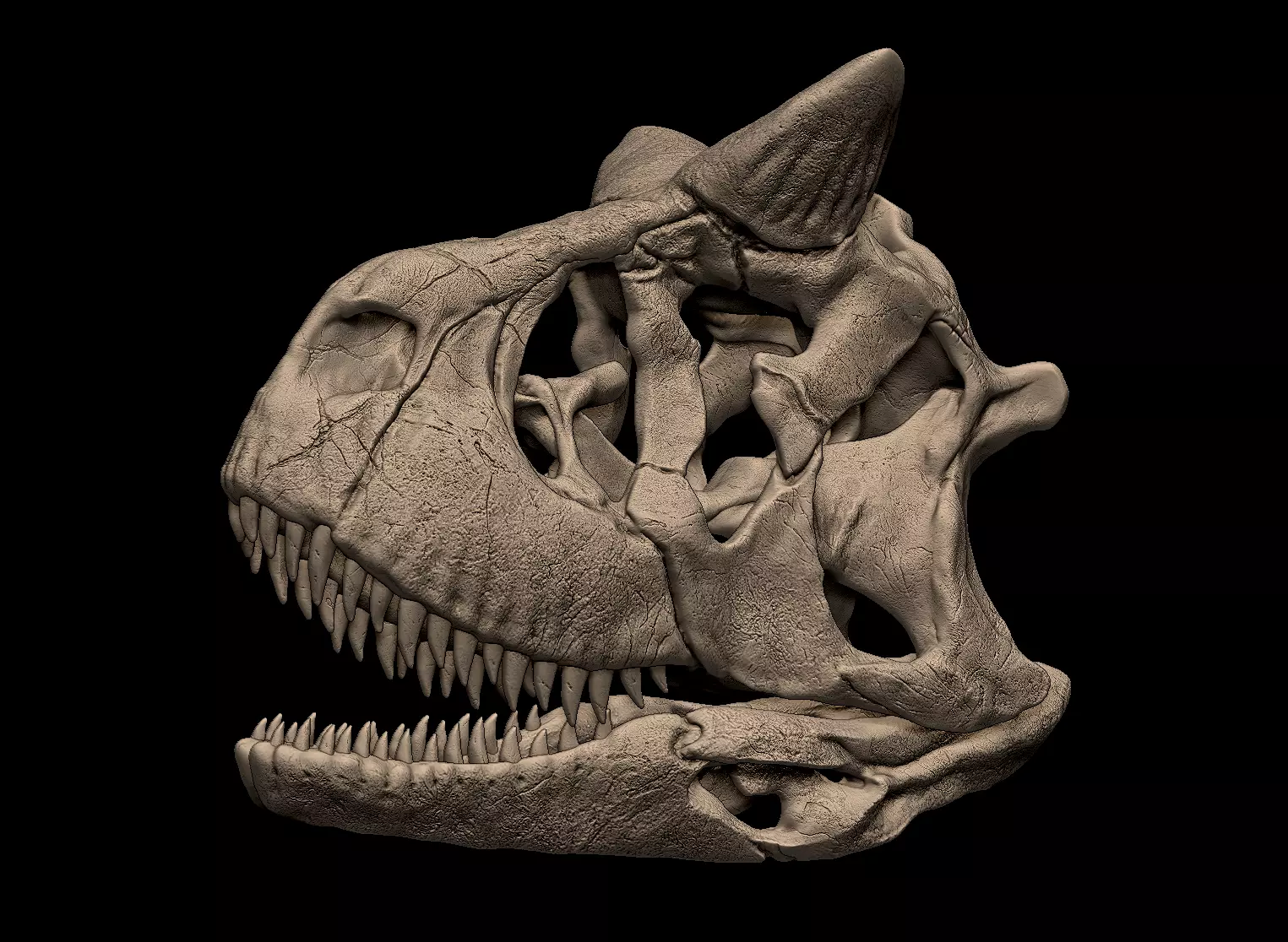 Carnotaurus Skull 3D Print Nodel 3D print model_0