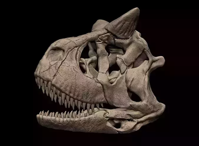 Carnotaurus Skull 3D Print Nodel 3D print model