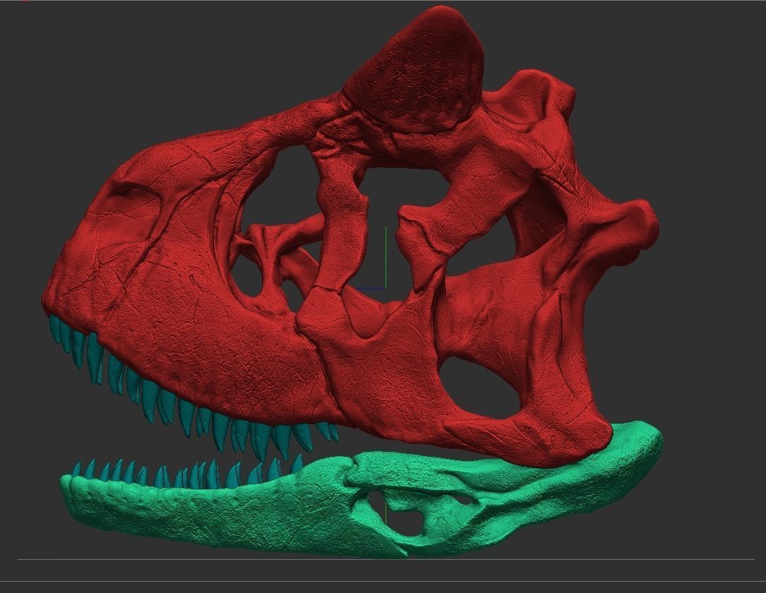 Carnotaurus Skull 3D Print Nodel 3D print model_9