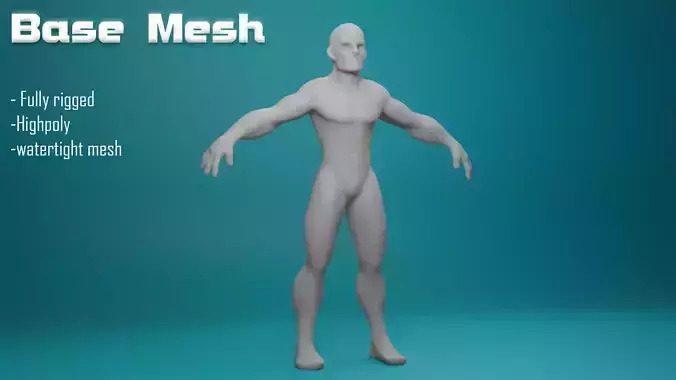 Base Mesh 