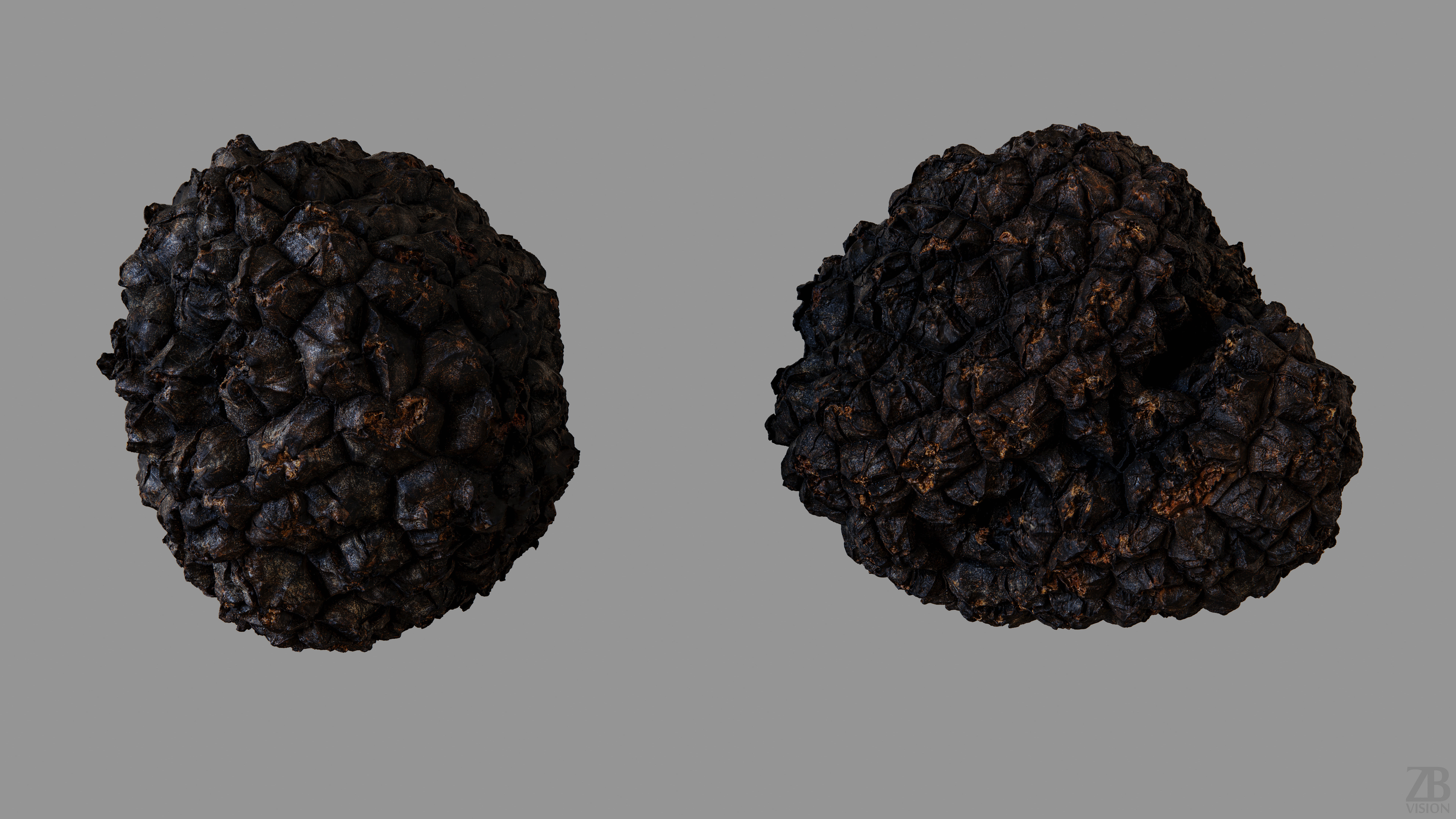 Truffle 3D model_9
